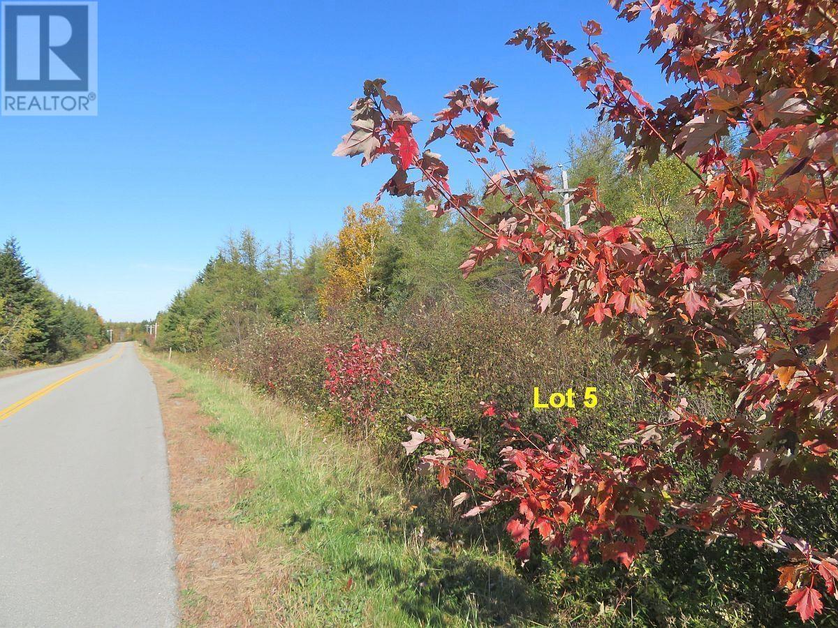 Lot5 Lower River Road, Grantville, Nova Scotia  B0E 1J0 - Photo 17 - 202403617