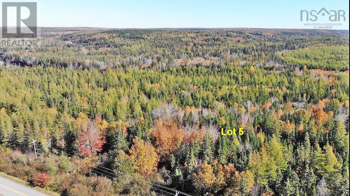 Lot5 Lower River Road, Grantville, Nova Scotia  B0E 1J0 - Photo 19 - 202403617