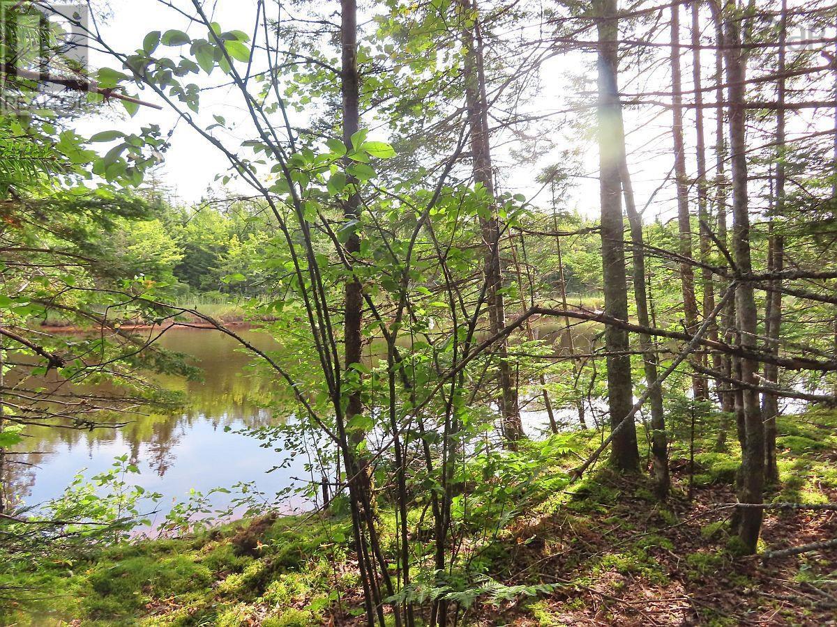 Lot5 Lower River Road, Grantville, Nova Scotia  B0E 1J0 - Photo 2 - 202403617