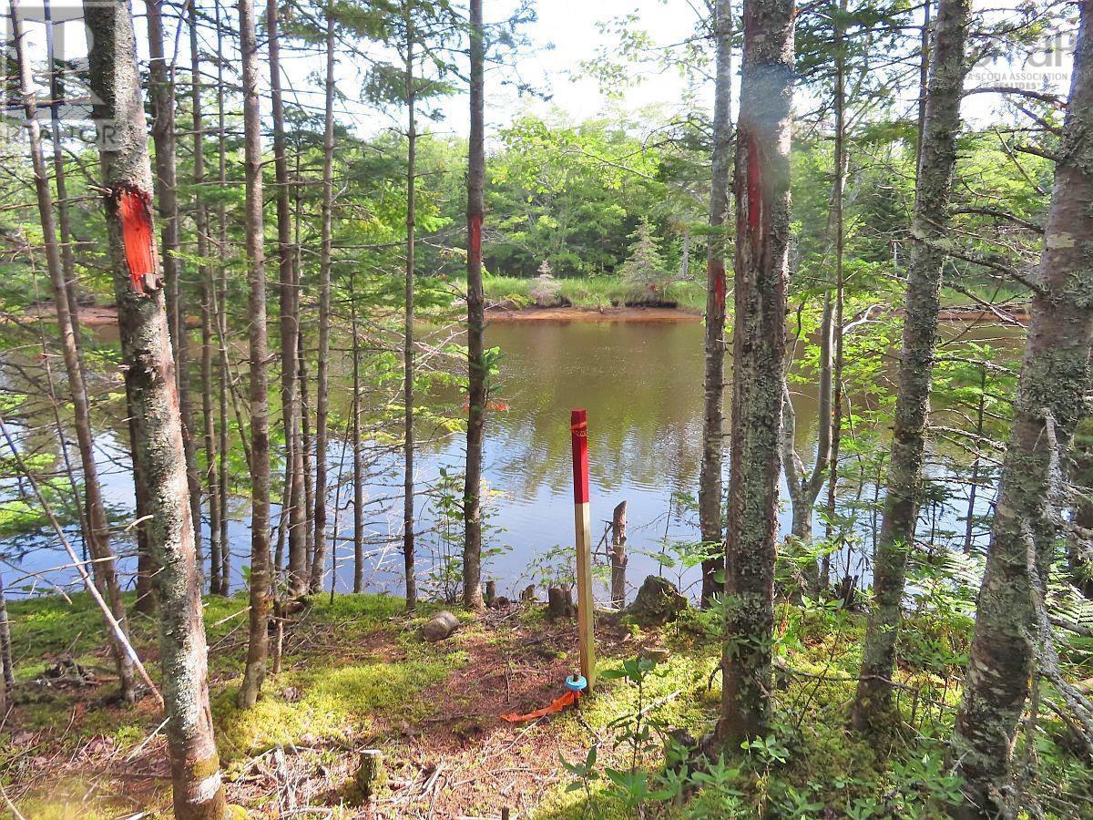 Lot5 Lower River Road, Grantville, Nova Scotia  B0E 1J0 - Photo 3 - 202403617