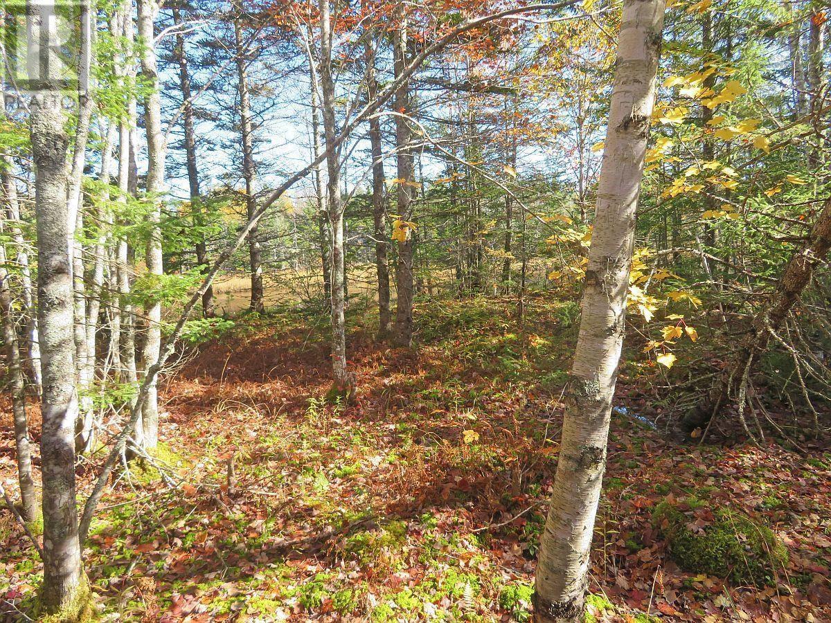 Lot5 Lower River Road, Grantville, Nova Scotia  B0E 1J0 - Photo 5 - 202403617