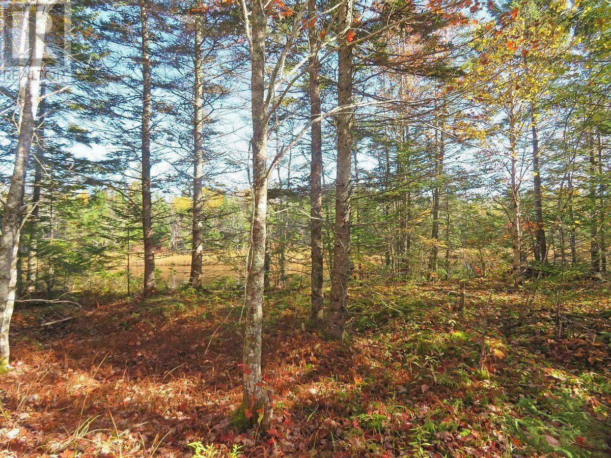 Lot5 Lower River Road, Grantville, Nova Scotia  B0E 1J0 - Photo 7 - 202403617