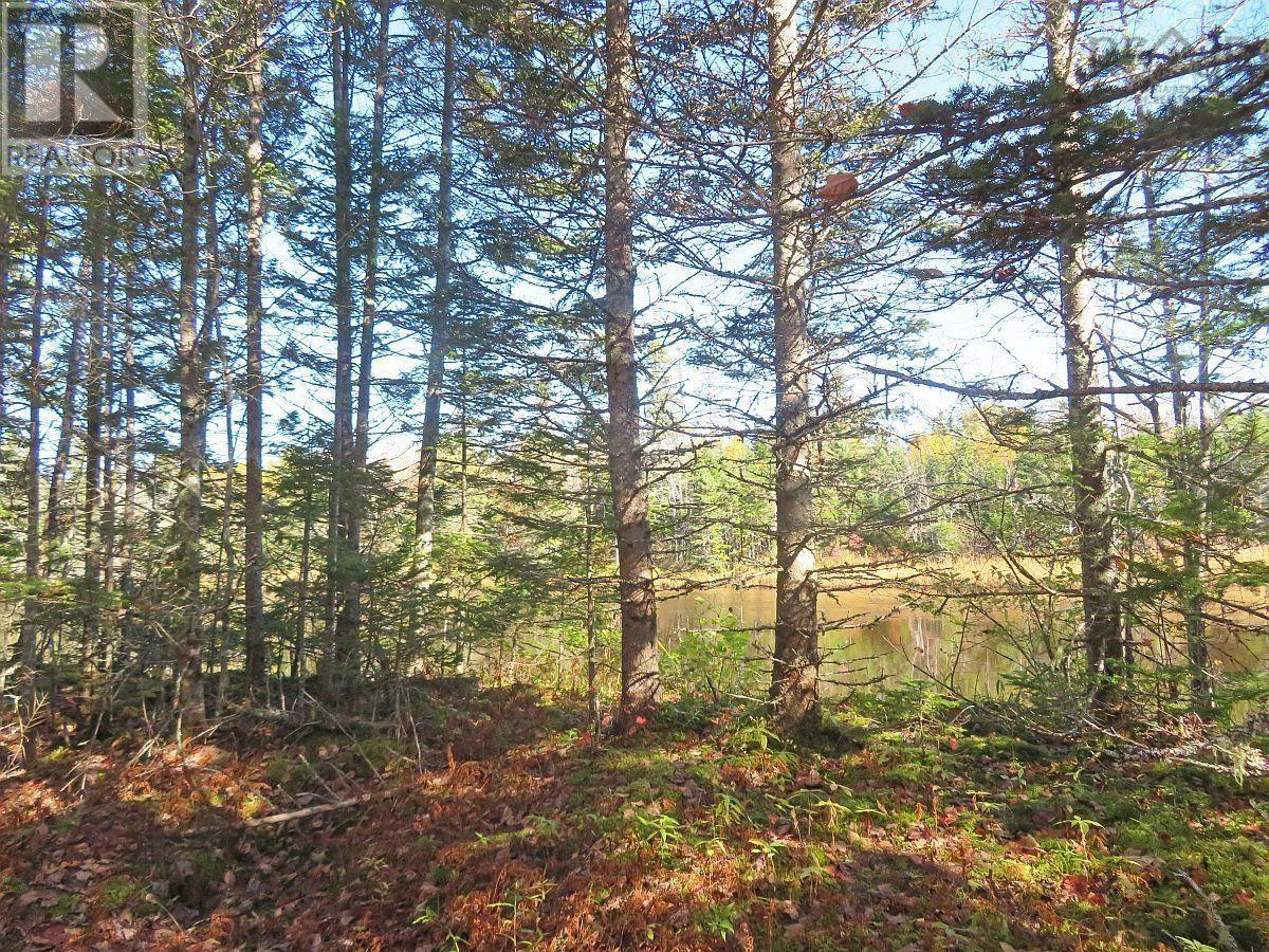 Lot5 Lower River Road, Grantville, Nova Scotia  B0E 1J0 - Photo 8 - 202403617