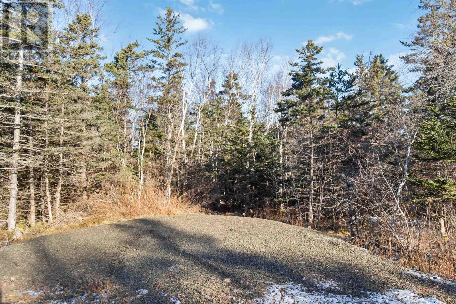 Lot 3 Hampton Mountain Road, Hampton, Nova Scotia  B0S 1L0 - Photo 10 - 202403731