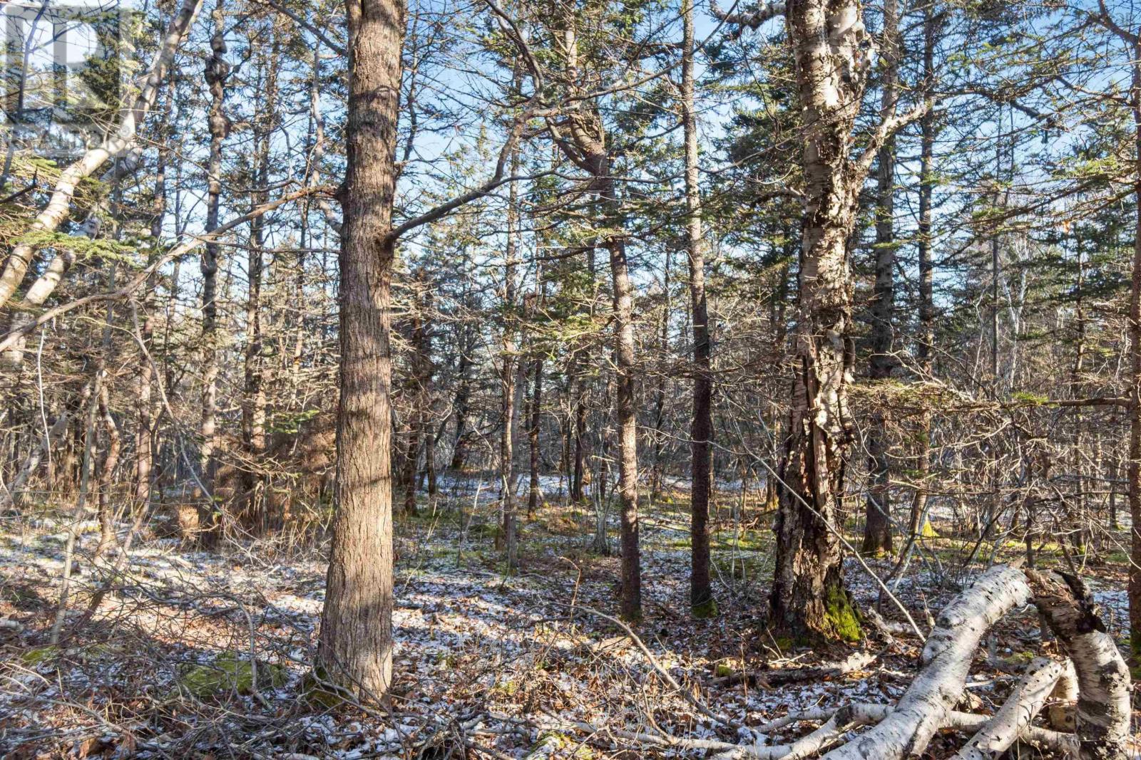 Lot 3 Hampton Mountain Road, Hampton, Nova Scotia  B0S 1L0 - Photo 18 - 202403731