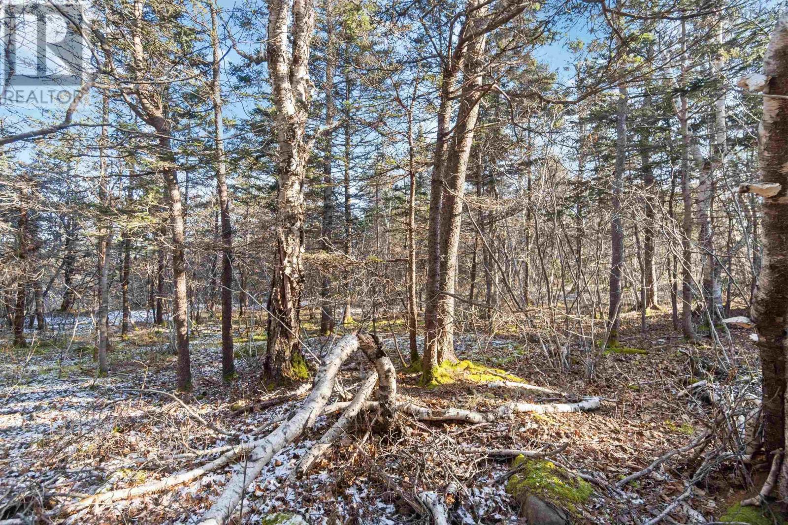 Lot 3 Hampton Mountain Road, Hampton, Nova Scotia  B0S 1L0 - Photo 19 - 202403731