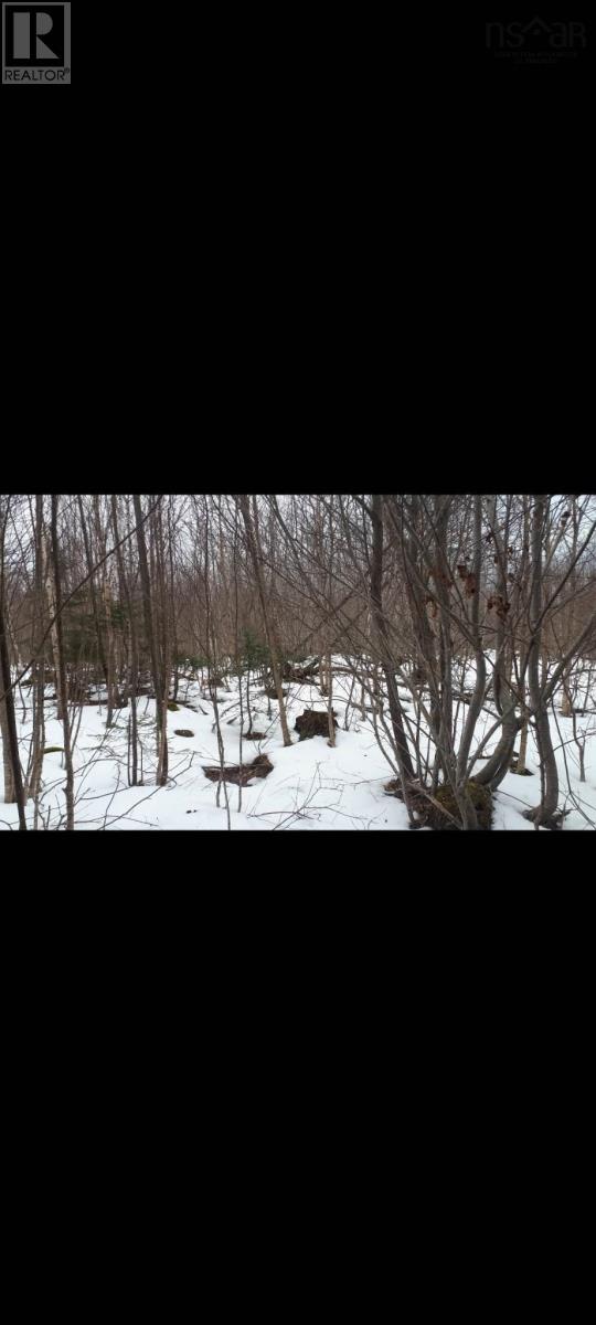 Lower Cross Road, Youngs Cove, Nova Scotia  B0S 1C0 - Photo 2 - 202403779