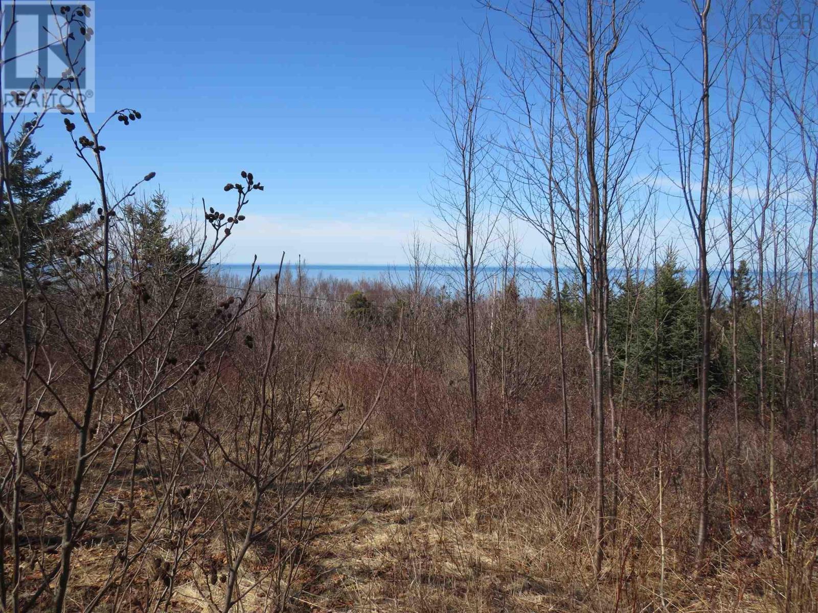 Lot 6 Shore Road, Parkers Cove, Nova Scotia  B0S 1A0 - Photo 2 - 202403826