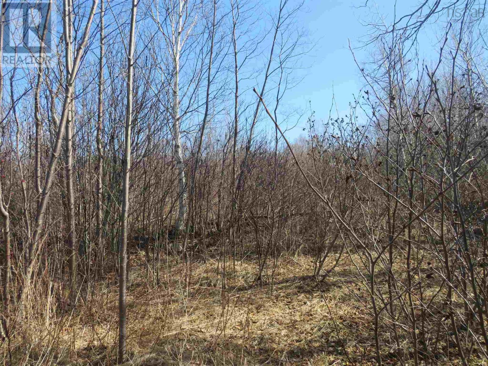 Lot 6 Shore Road, Parkers Cove, Nova Scotia  B0S 1A0 - Photo 3 - 202403826