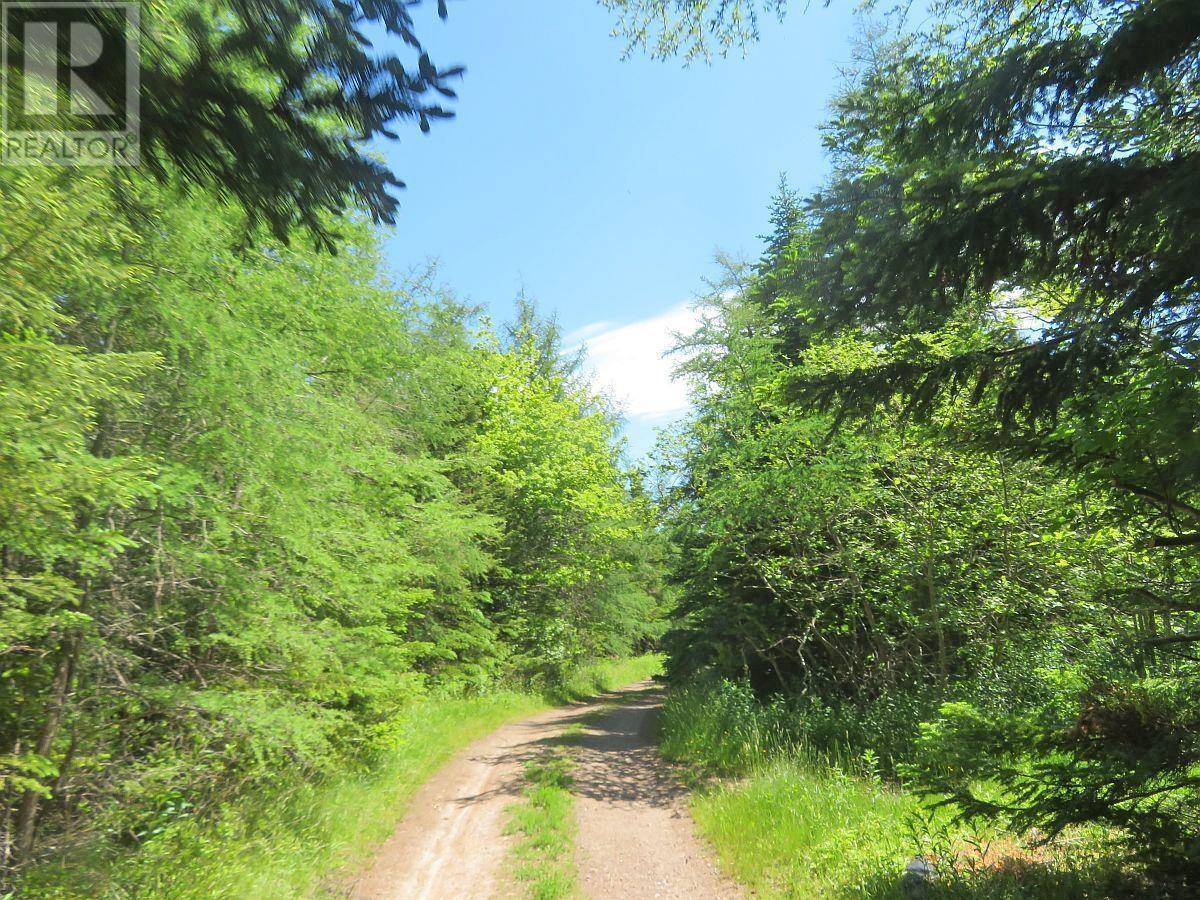 Highway 4, Soldiers Cove, Nova Scotia  B0E 3B0 - Photo 6 - 202403879