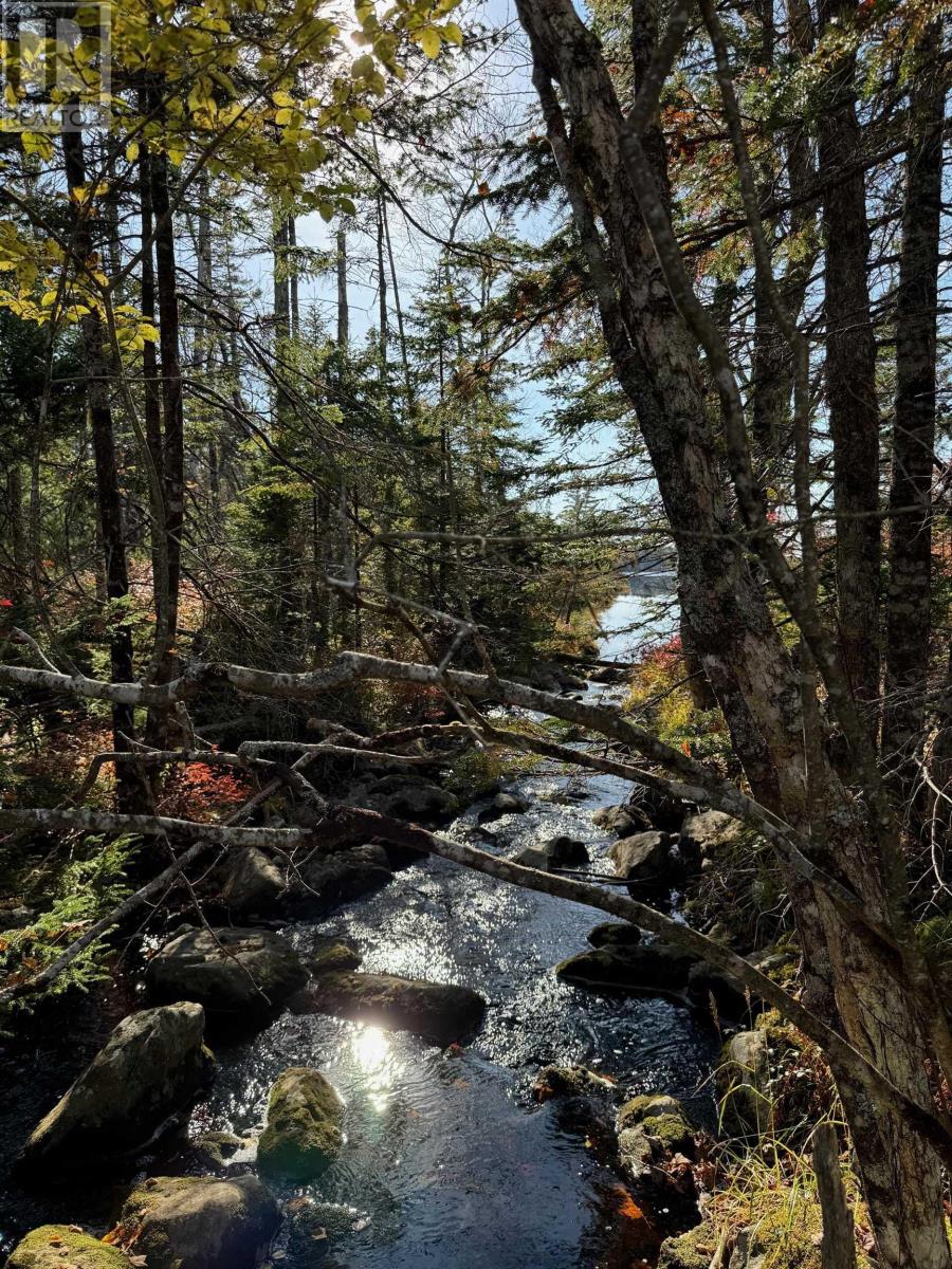 Grant 5942 Jacksons Mountain, east quinan, Nova Scotia