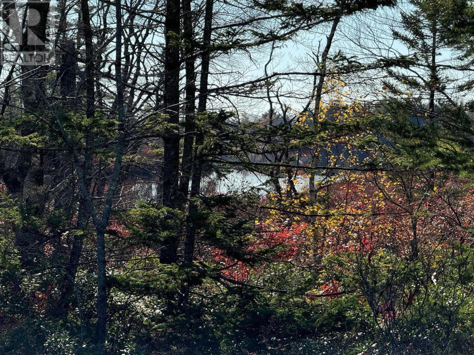 Grant 5942 Jacksons Mountain, East Quinan, Nova Scotia  B0W 3M0 - Photo 3 - 202403931