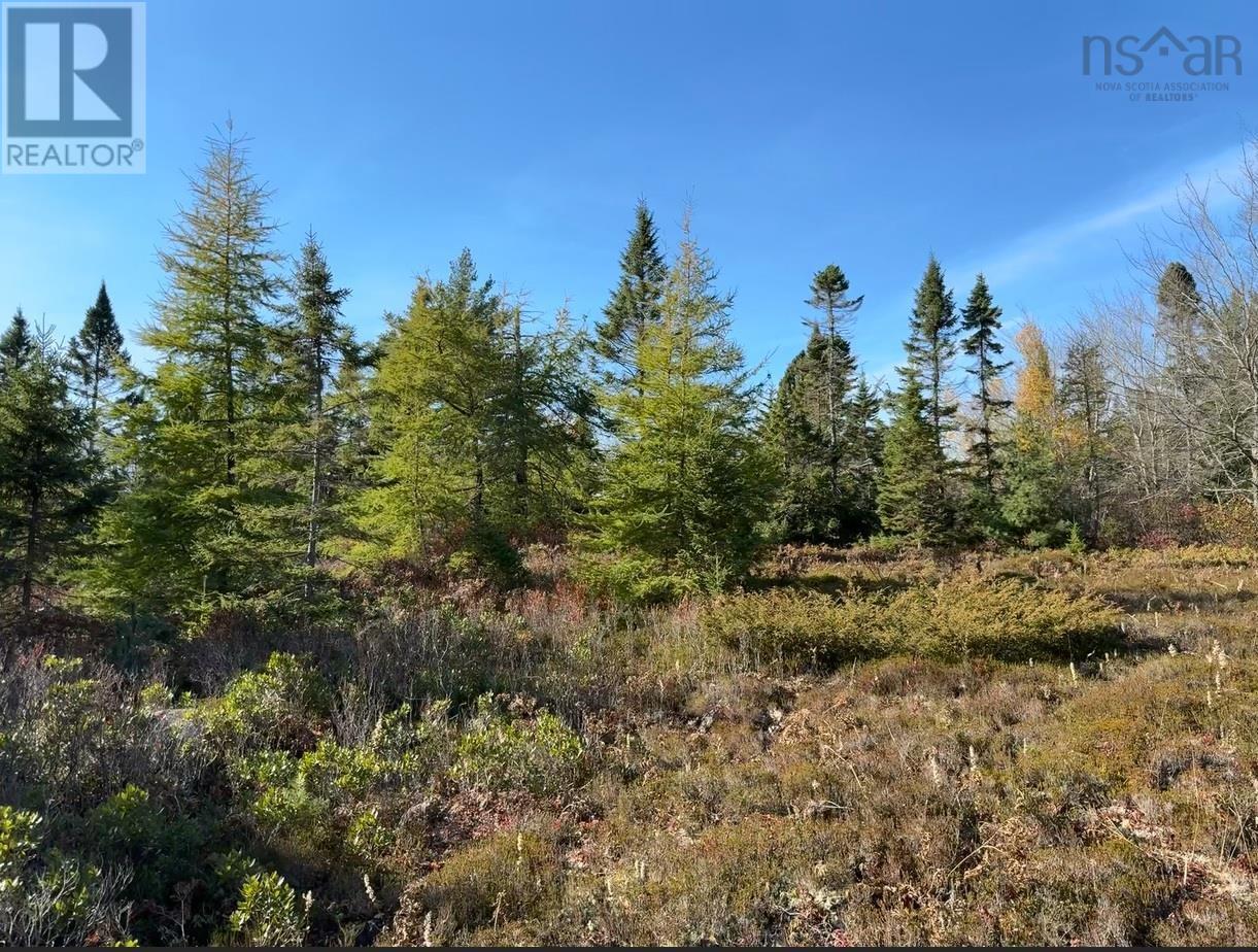 Grant 5942 Jacksons Mountain, East Quinan, Nova Scotia  B0W 3M0 - Photo 5 - 202403931