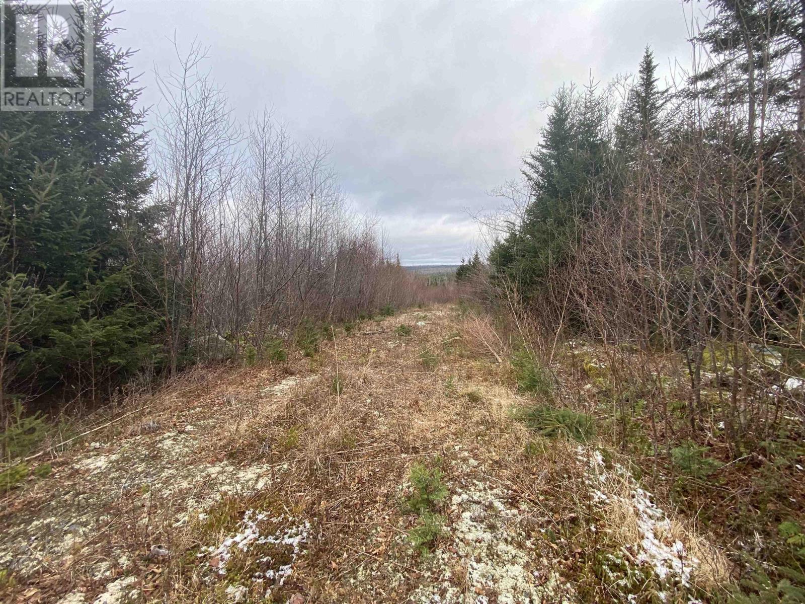 Lot 22/23 Trafalgar Road, Sheet Harbour, Nova Scotia  B0J 3B0 - Photo 3 - 202404030