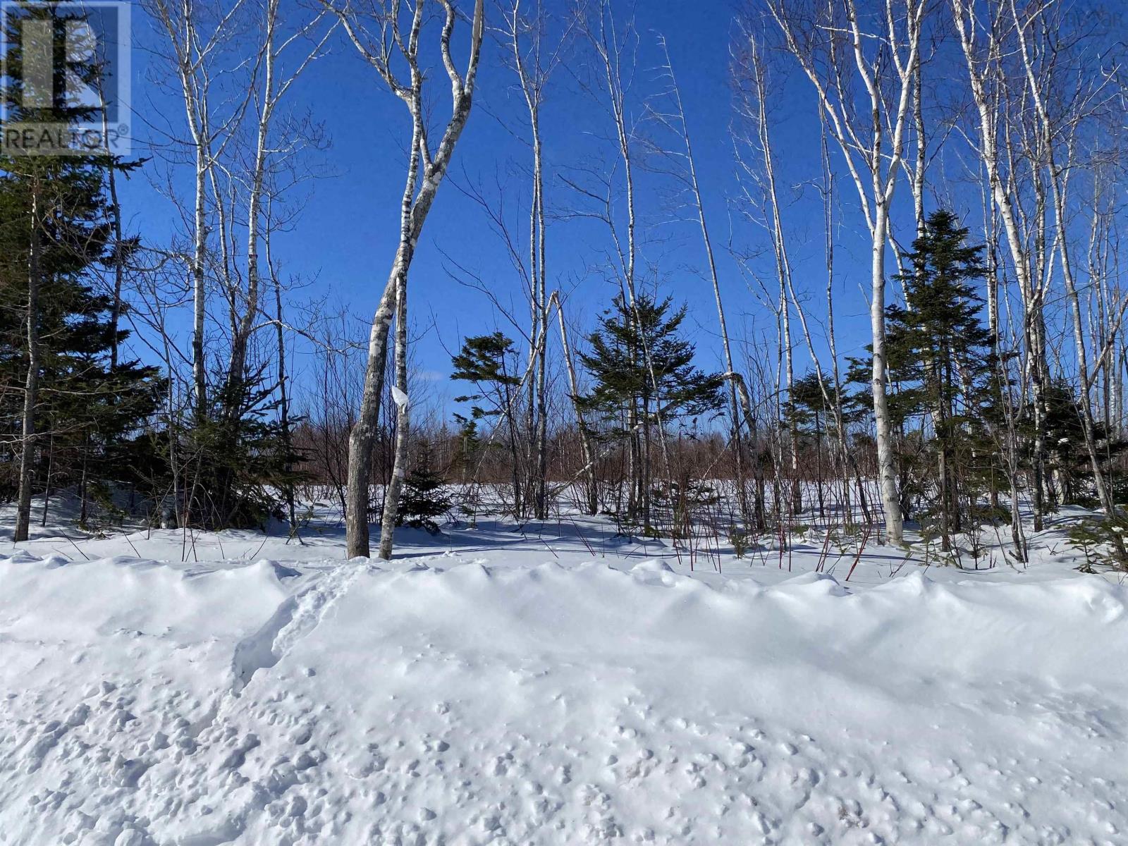 Lot 3 Old Ferry Road, Afton Station, Nova Scotia  B0H 1A0 - Photo 2 - 202404130