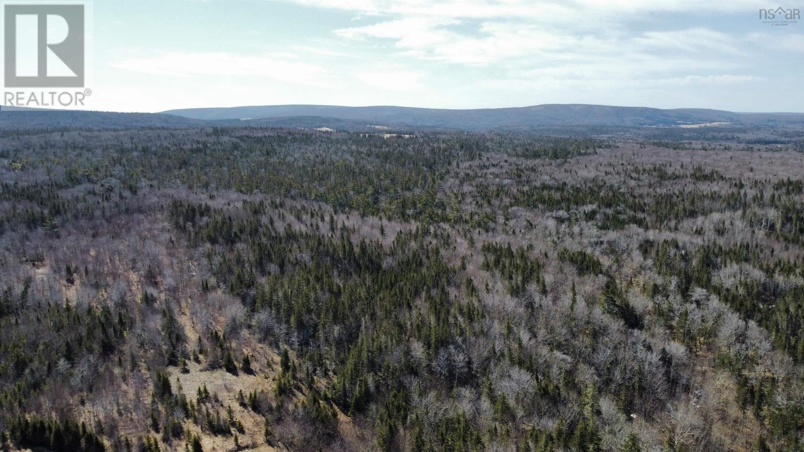 Meagher Road, Hays River, Nova Scotia  B0E 3M0 - Photo 16 - 202404224