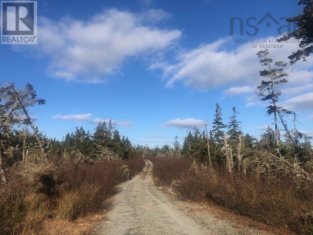 Lot 12 Jones Harbour Road, East Sable River, Nova Scotia  B0T 1V0 - Photo 7 - 202404237