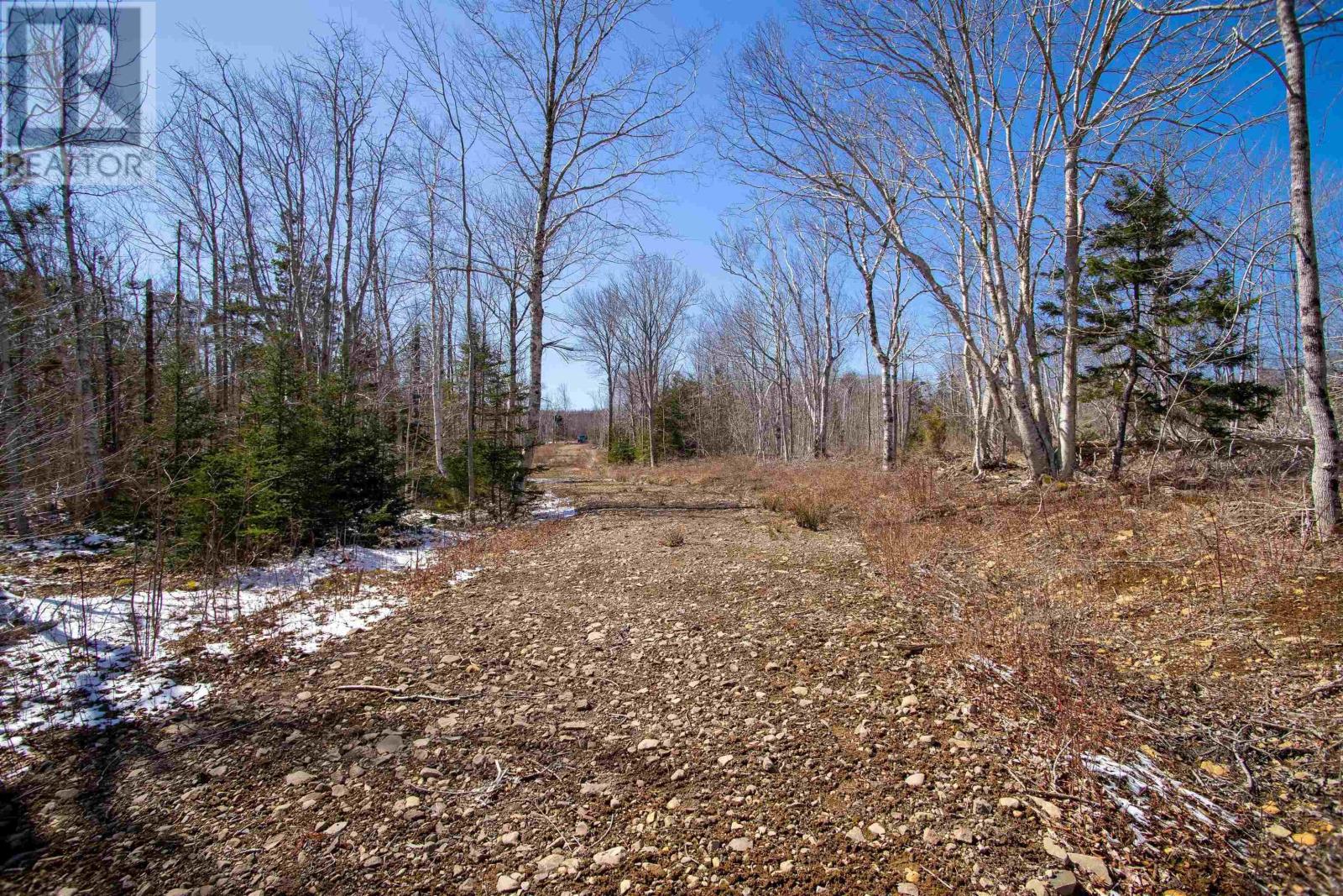 Lot Lighthouse Road, Bay View, Nova Scotia  B0V 1A0 - Photo 11 - 202404277