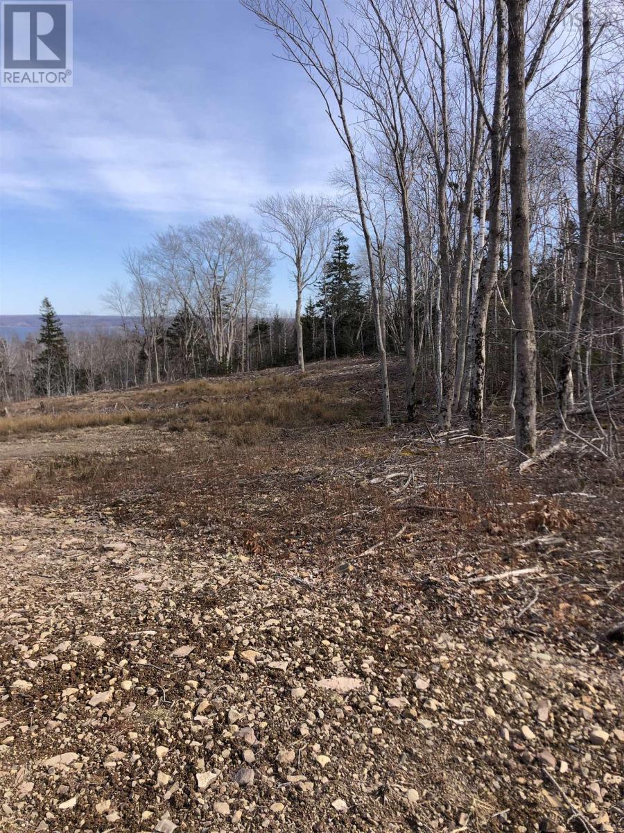 Lot Lighthouse Road, Bay View, Nova Scotia  B0V 1A0 - Photo 21 - 202404277