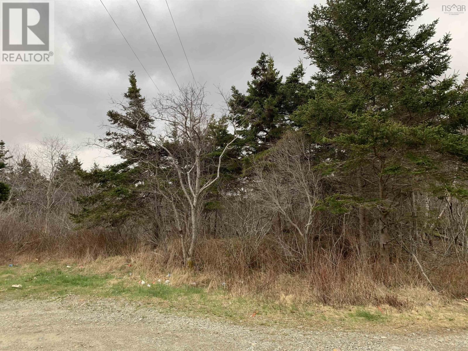 Lots Hardwood Hills Road, Plymouth, Nova Scotia  B0W 1B0 - Photo 2 - 202404358