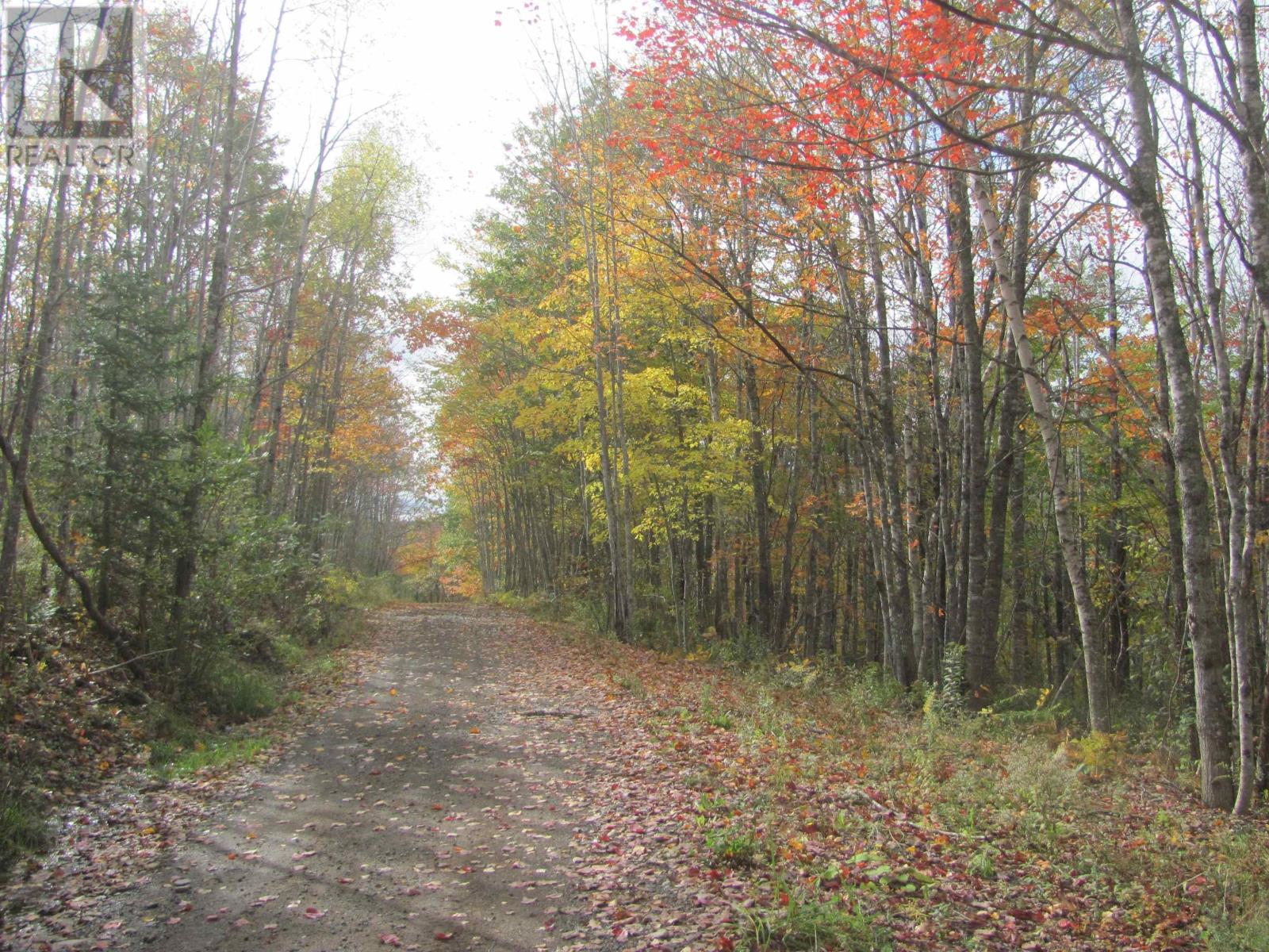 Lot Fuller Road, Bishopville, Nova Scotia  B0N 1L0 - Photo 15 - 202404398