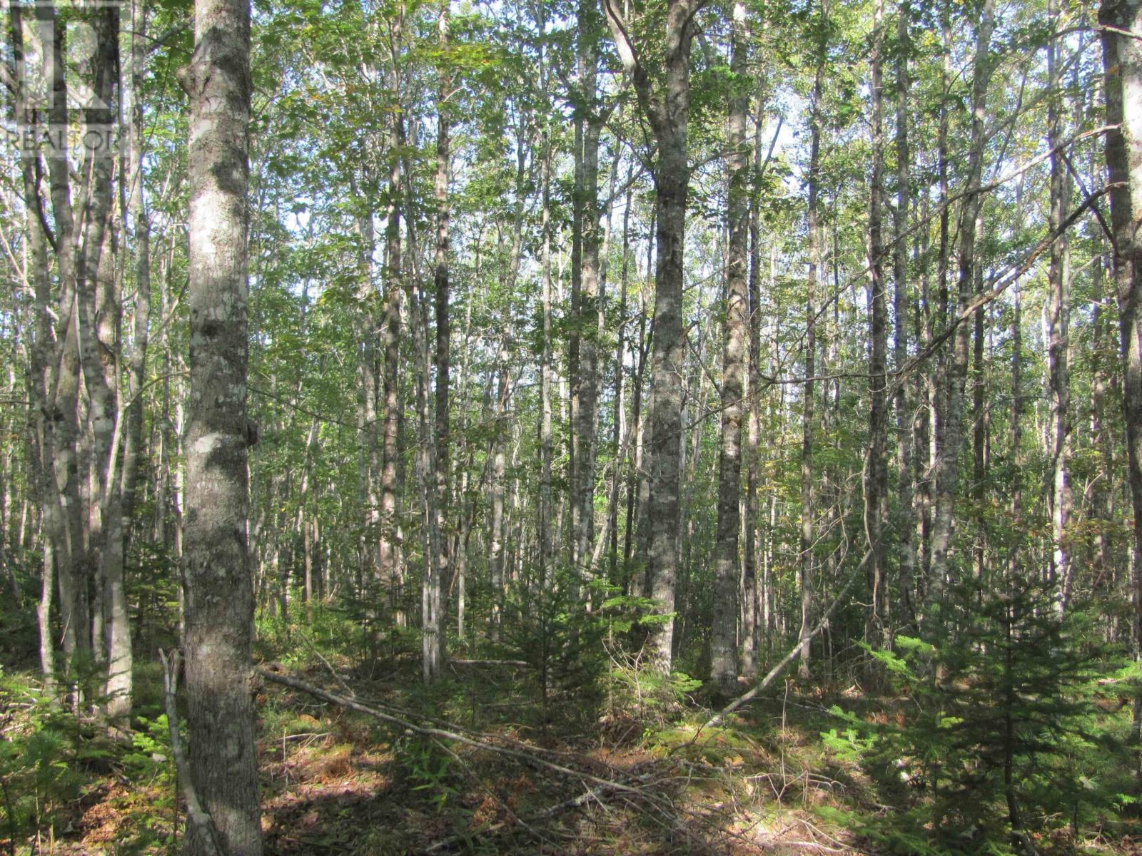 Lot Fuller Road, Bishopville, Nova Scotia  B0N 1L0 - Photo 22 - 202404398