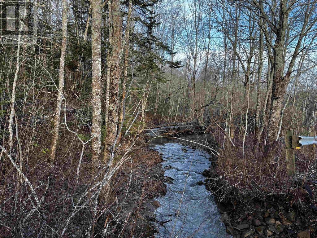 Lot Fuller Road, Bishopville, Nova Scotia  B0N 1L0 - Photo 5 - 202404398