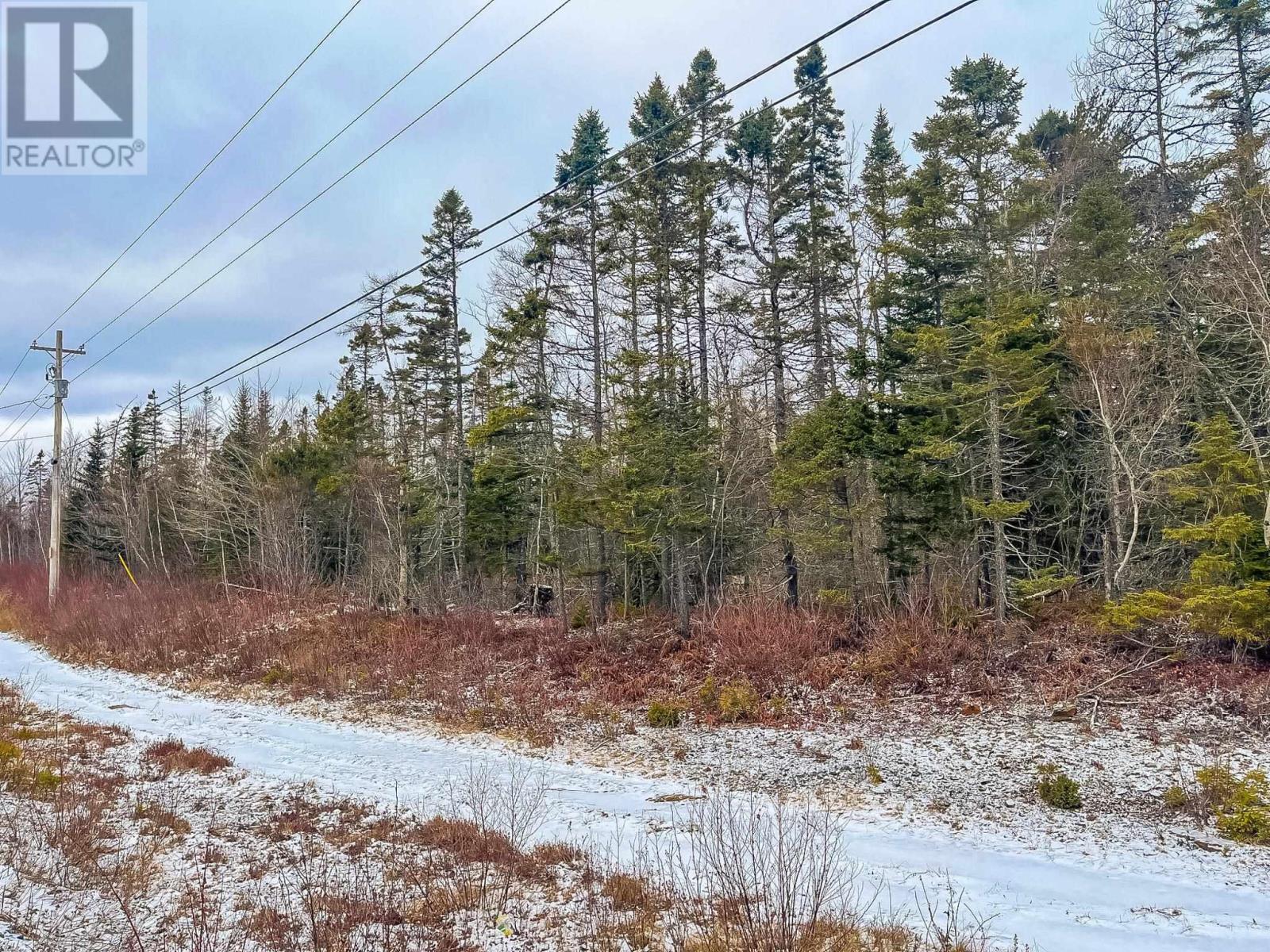 Lot 42 Haines 2 Road, Baker Settlement, Nova Scotia  B4V 7V7 - Photo 2 - 202404555