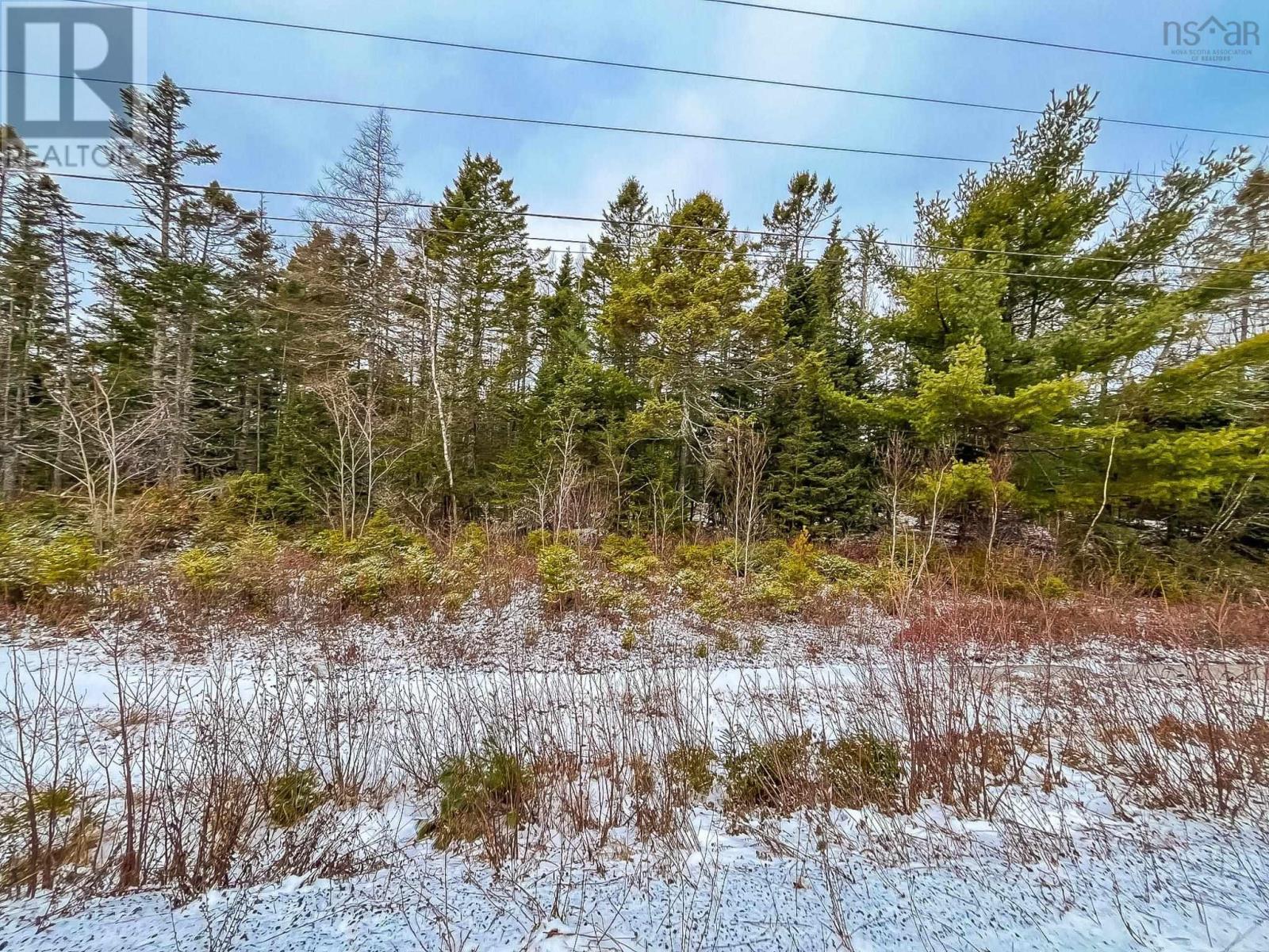 Lot 42 Haines 2 Road, Baker Settlement, Nova Scotia  B4V 7V7 - Photo 4 - 202404555