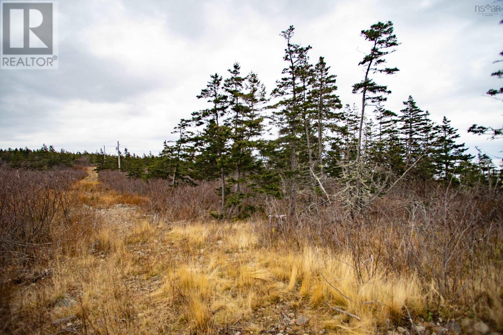 Lot 2 South View Drive, Freeport, Nova Scotia  B0V 1B0 - Photo 6 - 202404640