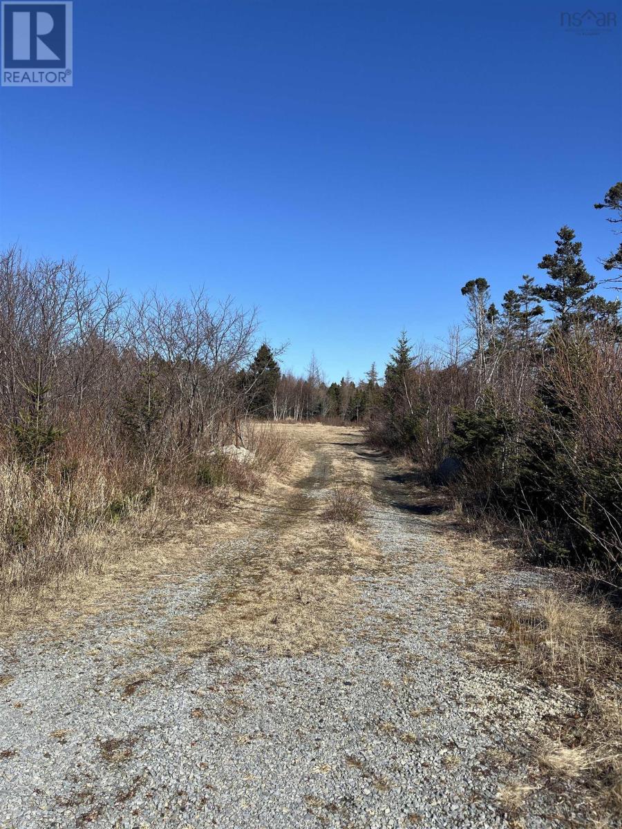 Lot 4-A Highway 329, Blandford, Nova Scotia  B0J 1T0 - Photo 6 - 202404671