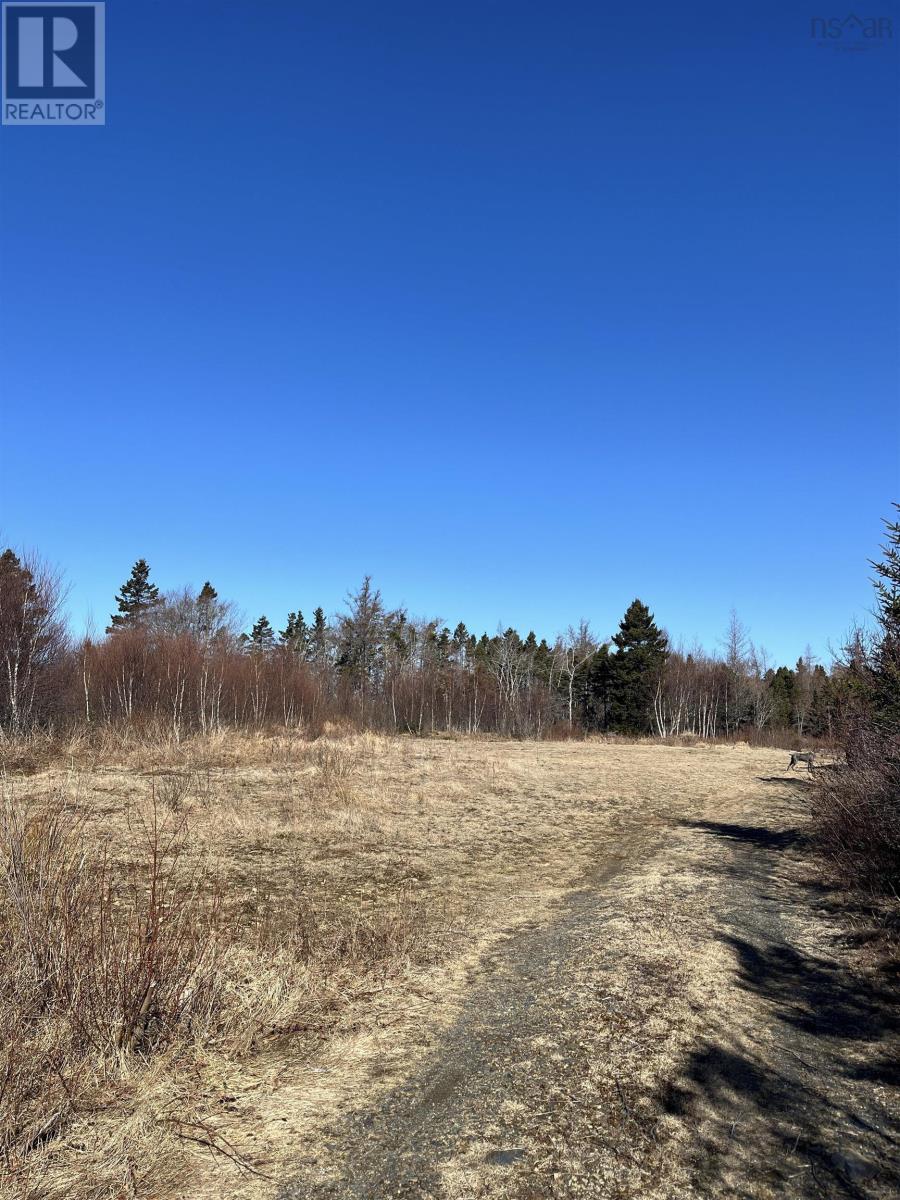 Lot 4-A Highway 329, Blandford, Nova Scotia  B0J 1T0 - Photo 7 - 202404671