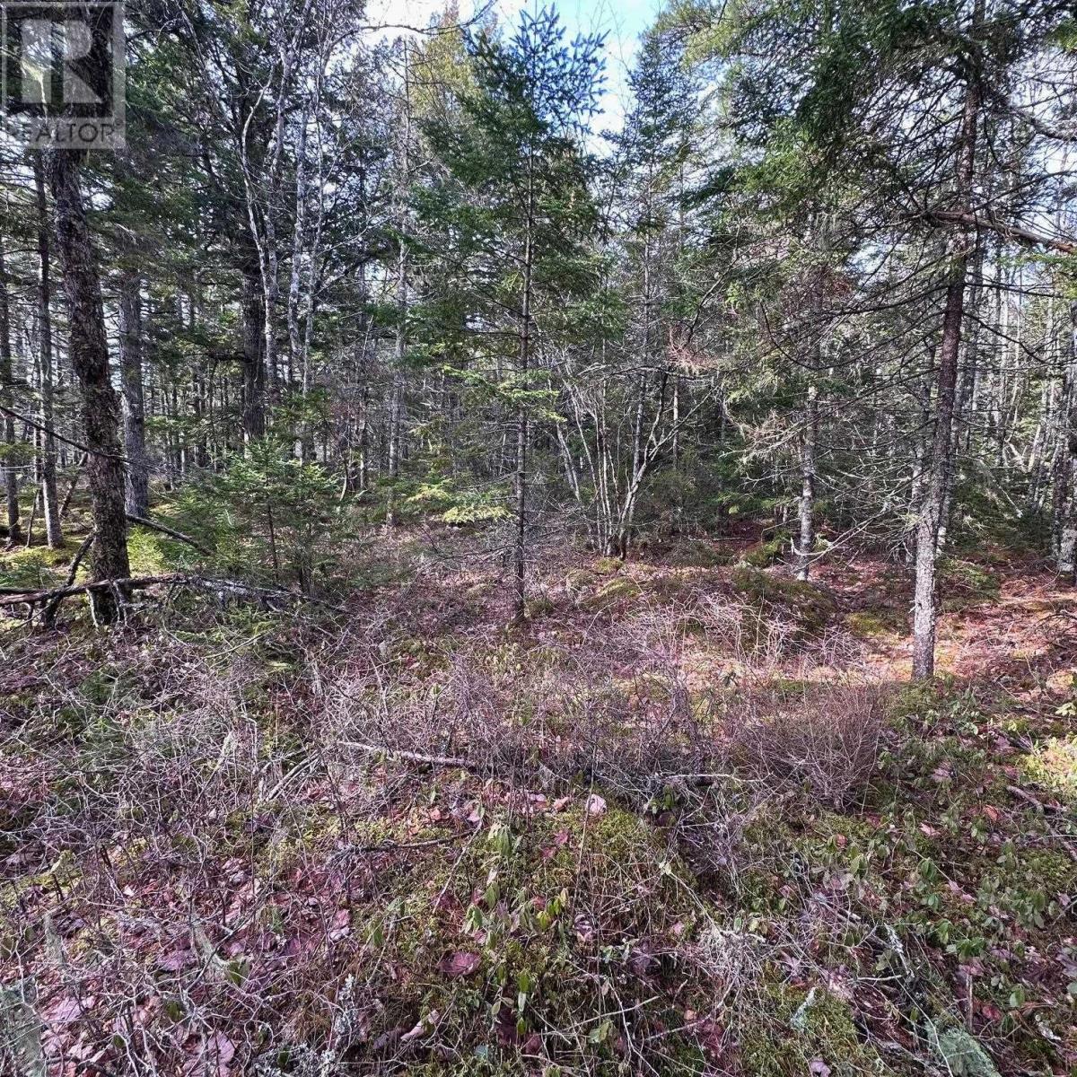 Lot 38 Sand Cove Road, Westfield, Nova Scotia  B0T 1B0 - Photo 10 - 202404708