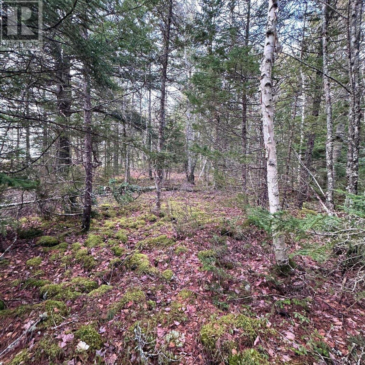 Lot 38 Sand Cove Road, Westfield, Nova Scotia  B0T 1B0 - Photo 11 - 202404708