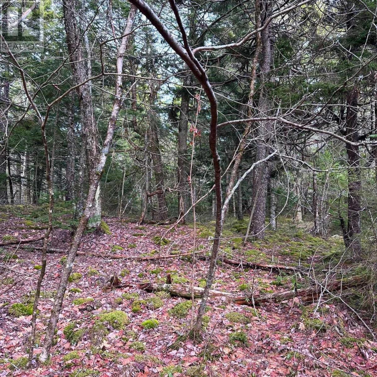 Lot 38 Sand Cove Road, Westfield, Nova Scotia  B0T 1B0 - Photo 12 - 202404708