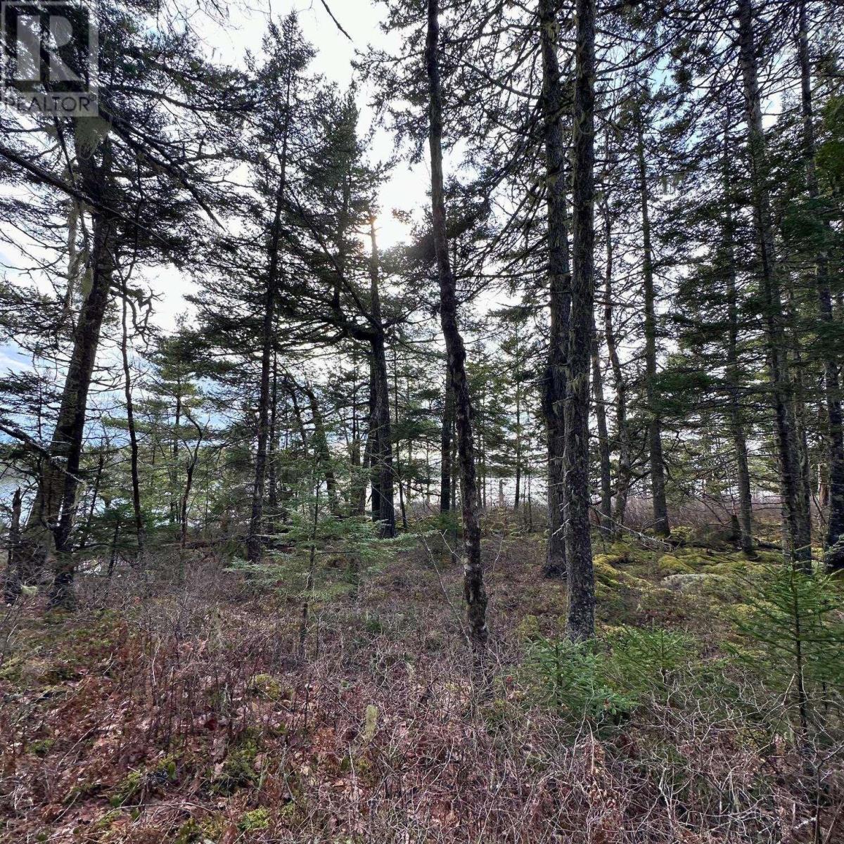 Lot 38 Sand Cove Road, Westfield, Nova Scotia  B0T 1B0 - Photo 15 - 202404708