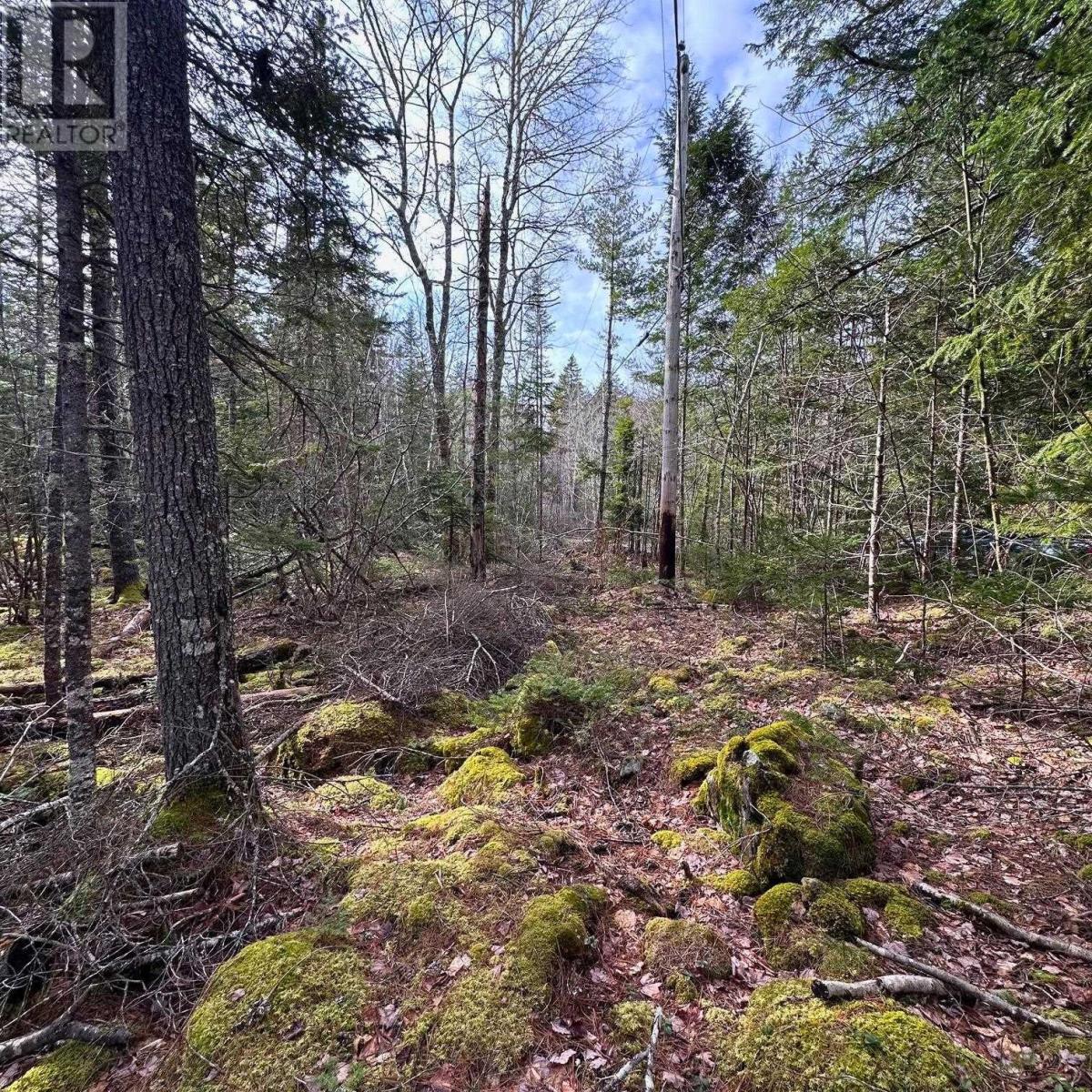 Lot 38 Sand Cove Road, Westfield, Nova Scotia  B0T 1B0 - Photo 6 - 202404708