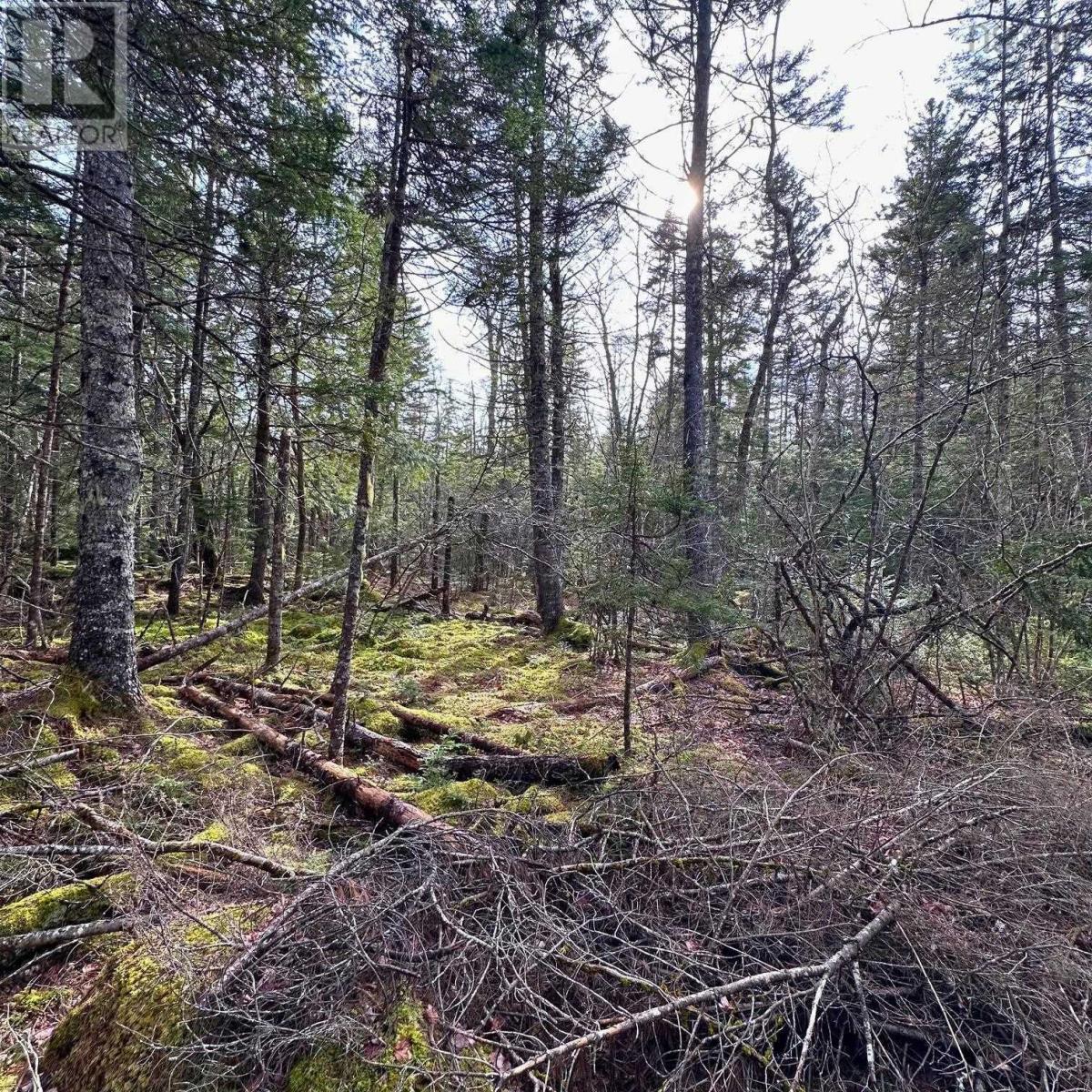 Lot 38 Sand Cove Road, Westfield, Nova Scotia  B0T 1B0 - Photo 7 - 202404708