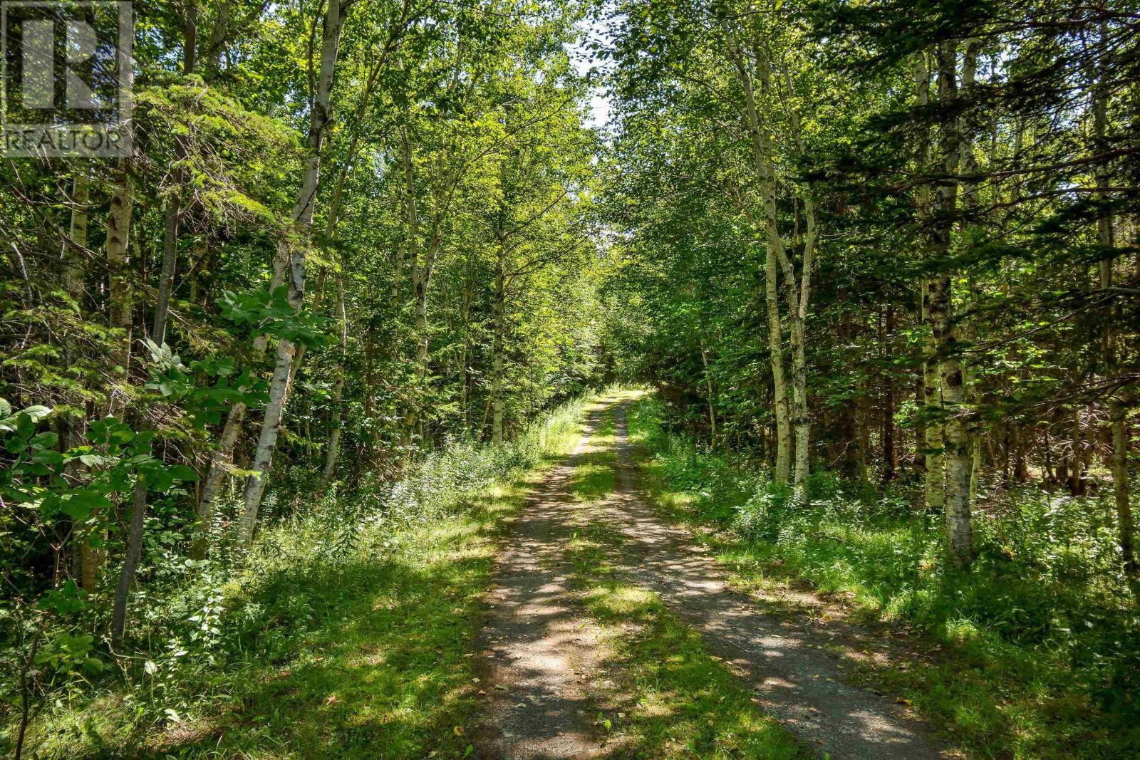 305 Militia Point Road, Militia Point, Nova Scotia  B0E 2Y0 - Photo 16 - 202404731