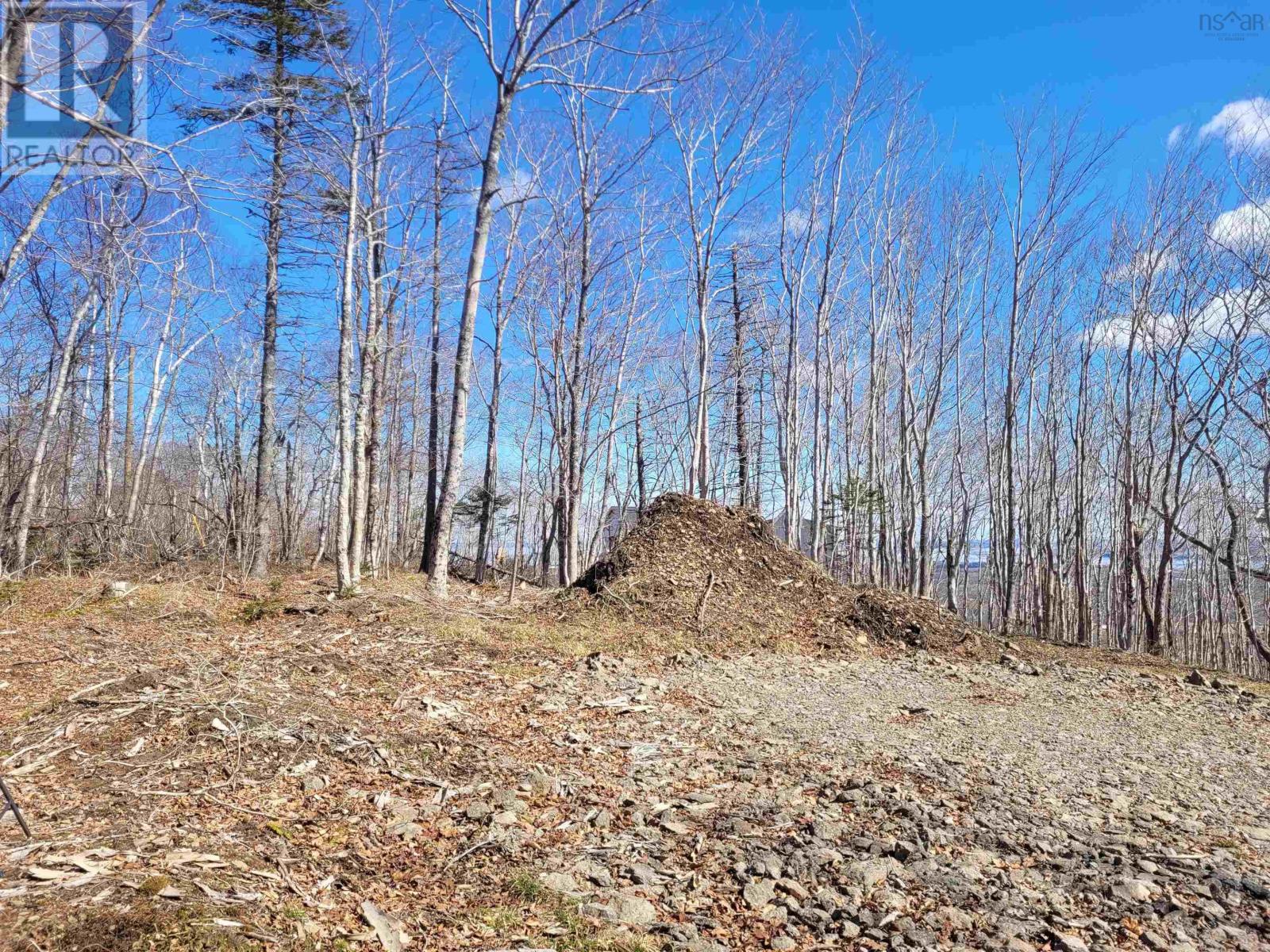 Lot Efl-3a Gospel Road, Arlington, Nova Scotia  B0P 1H0 - Photo 6 - 202404946