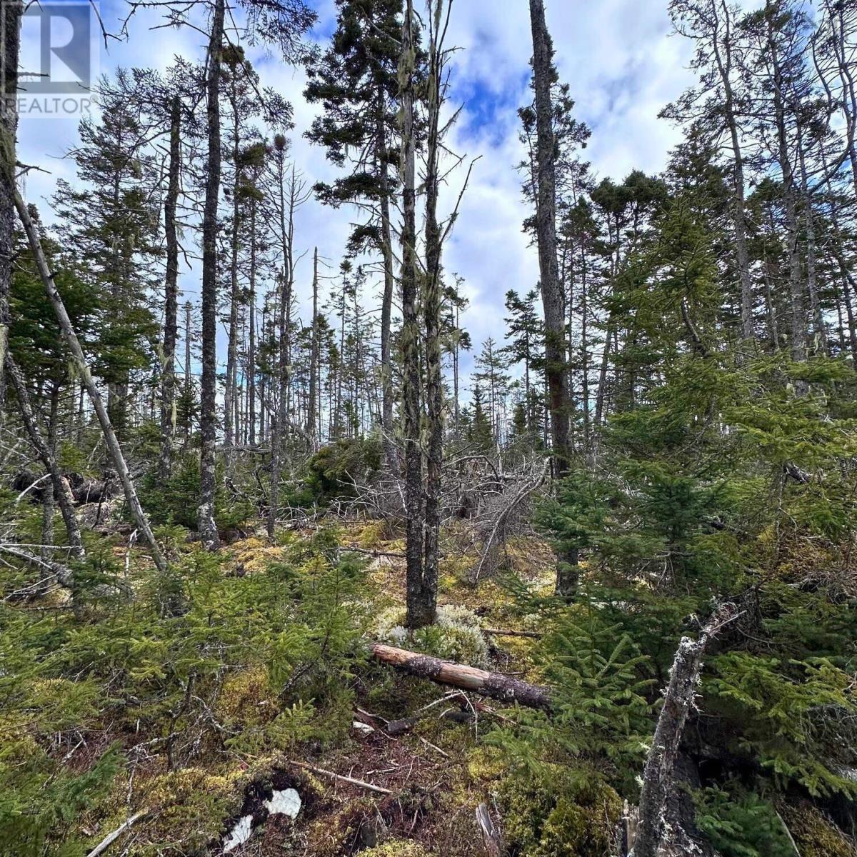 Lot Big Tancook Island Road, Big Tancook Island, Nova Scotia  B0J 3G0 - Photo 25 - 202405043