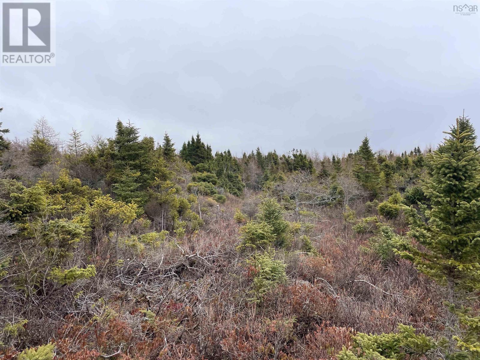 27 Chemin Shomphe Road, Chéticamp, Nova Scotia  B0E 1H0 - Photo 34 - 202405054