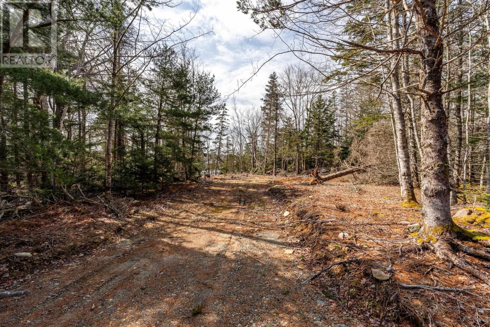 Lot #5 Pure Nature Drive, Bell Neck, Nova Scotia  B0W 3M0 - Photo 13 - 202405103