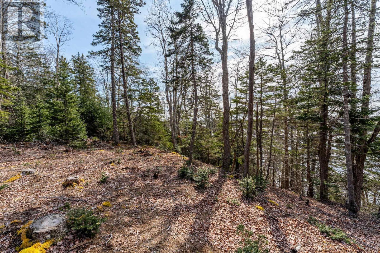 Lot #5 Pure Nature Drive, Bell Neck, Nova Scotia  B0W 3M0 - Photo 16 - 202405103