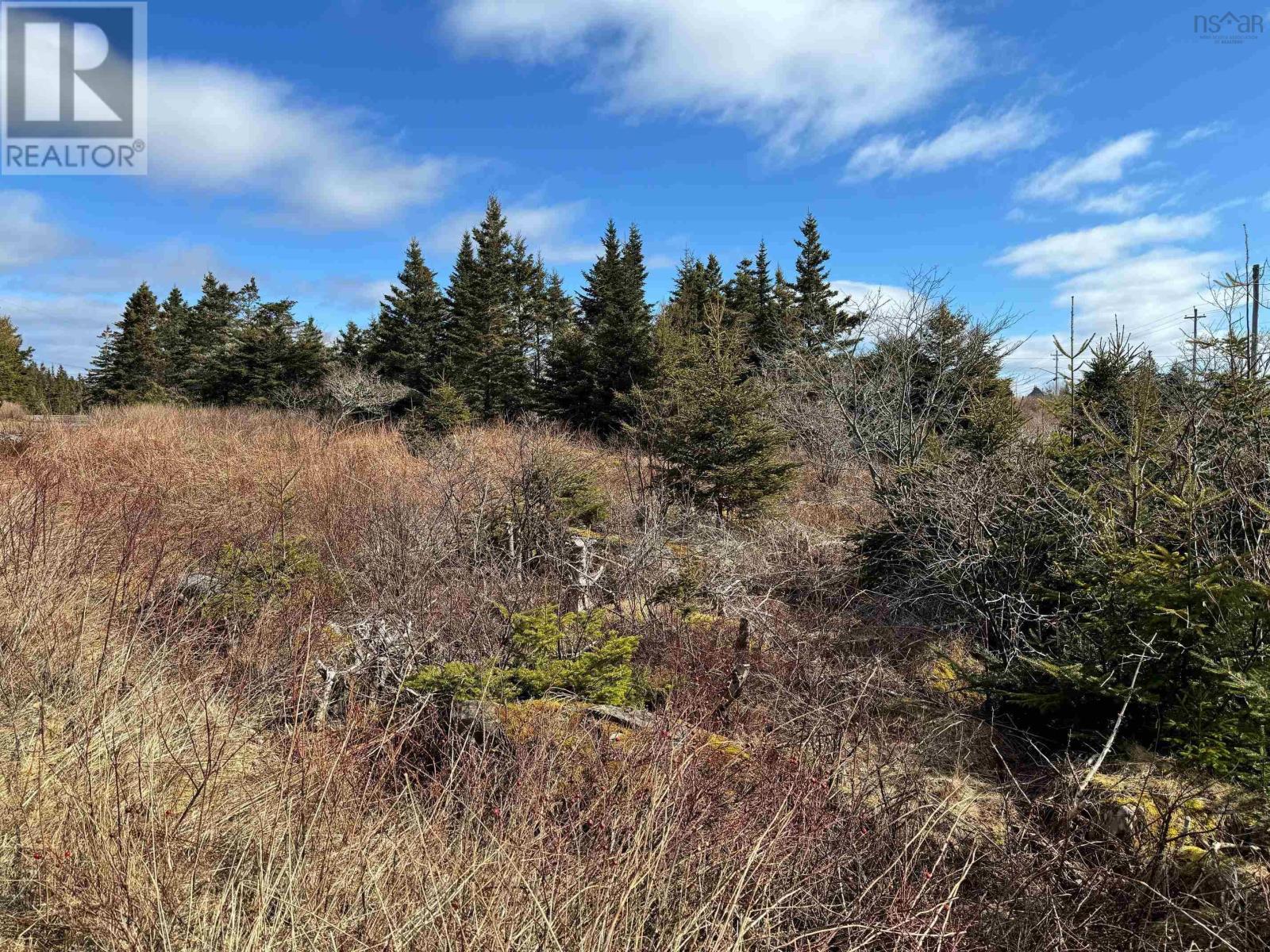 Lot 15 Shiers Road, Harrigan Cove, Nova Scotia  B0J 2K0 - Photo 2 - 202405272