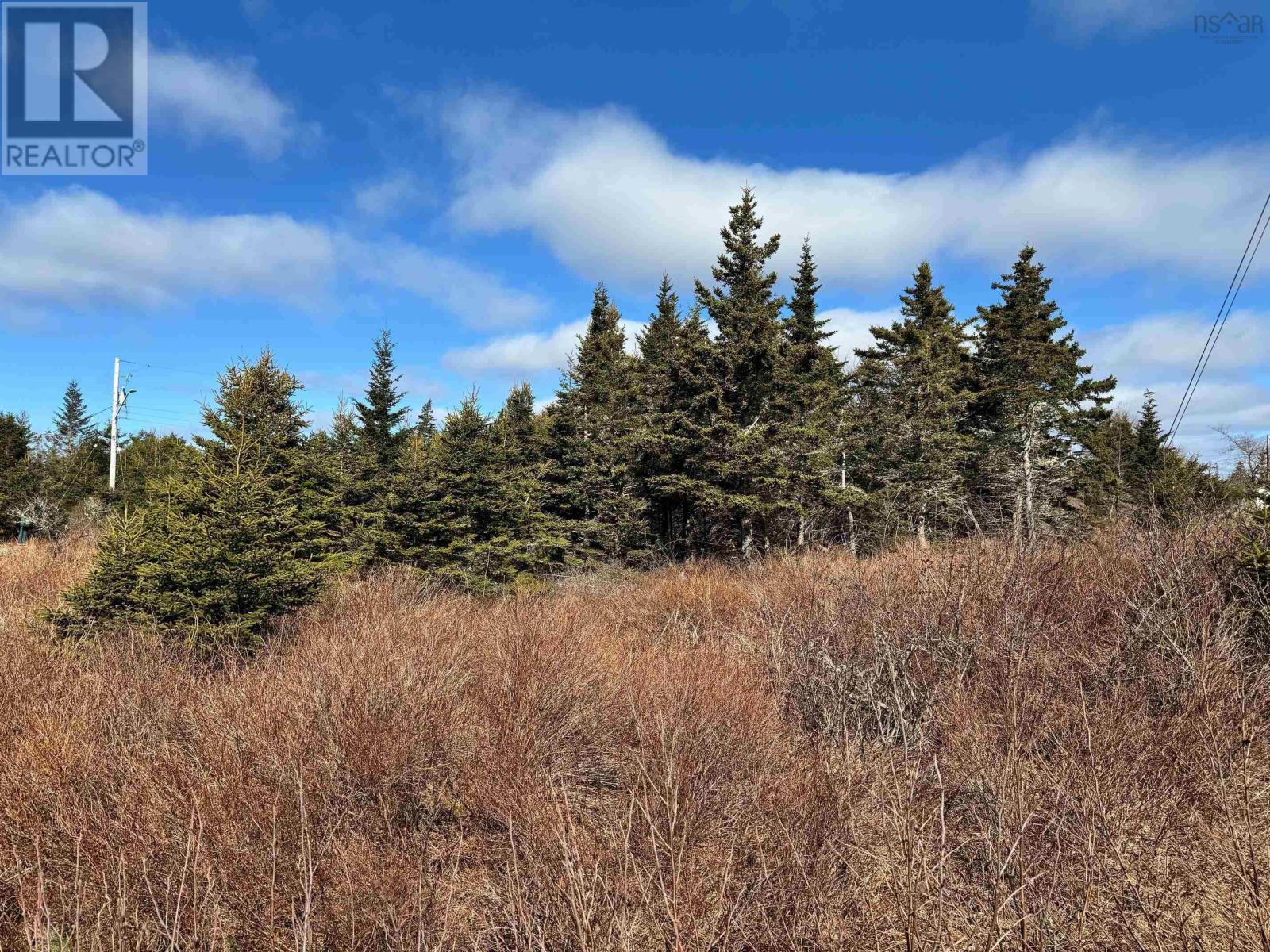 Lot 15 Shiers Road, Harrigan Cove, Nova Scotia  B0J 2K0 - Photo 3 - 202405272