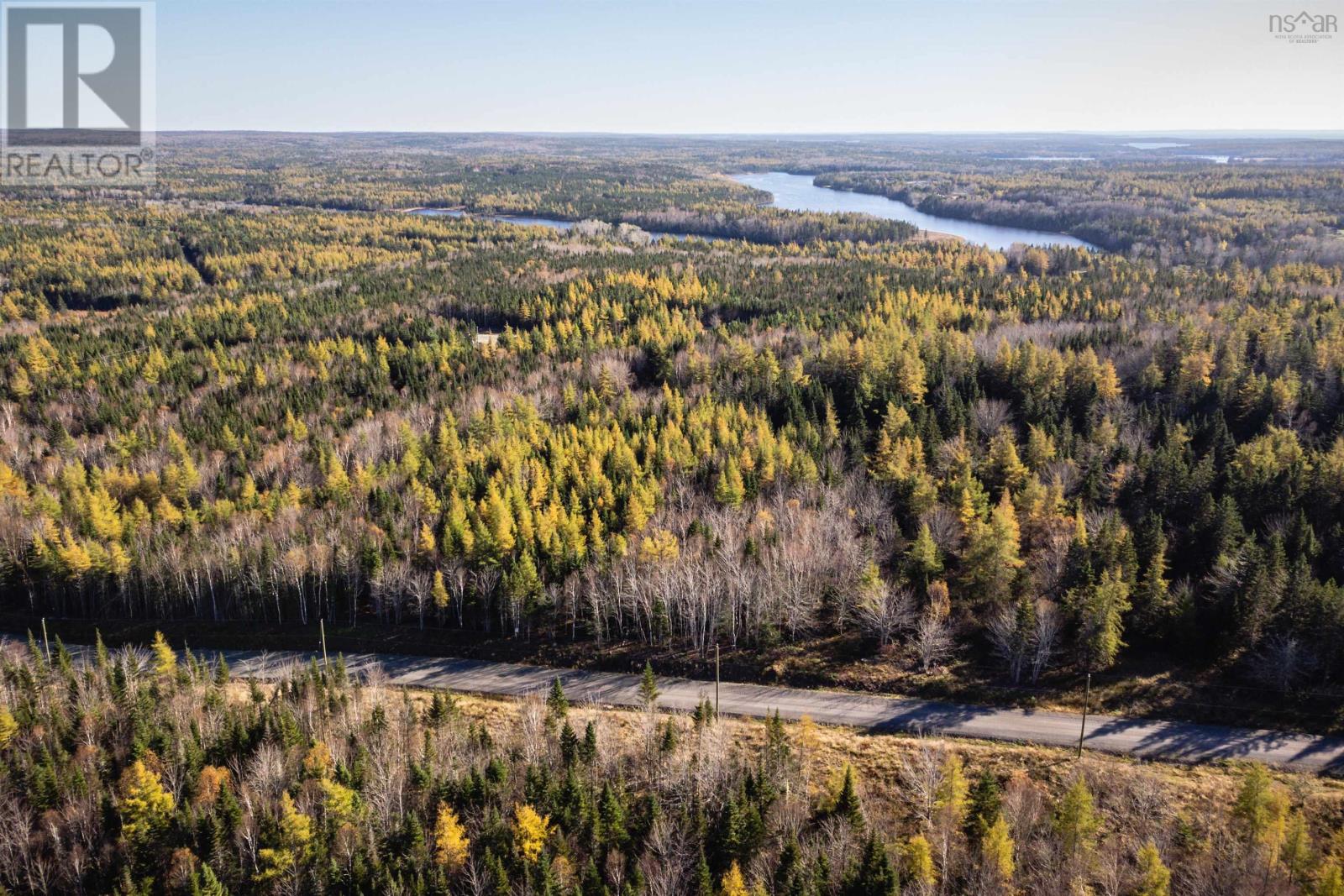 53 Starling Lane, Cleveland, Nova Scotia  B0E 1J0 - Photo 6 - 202405325