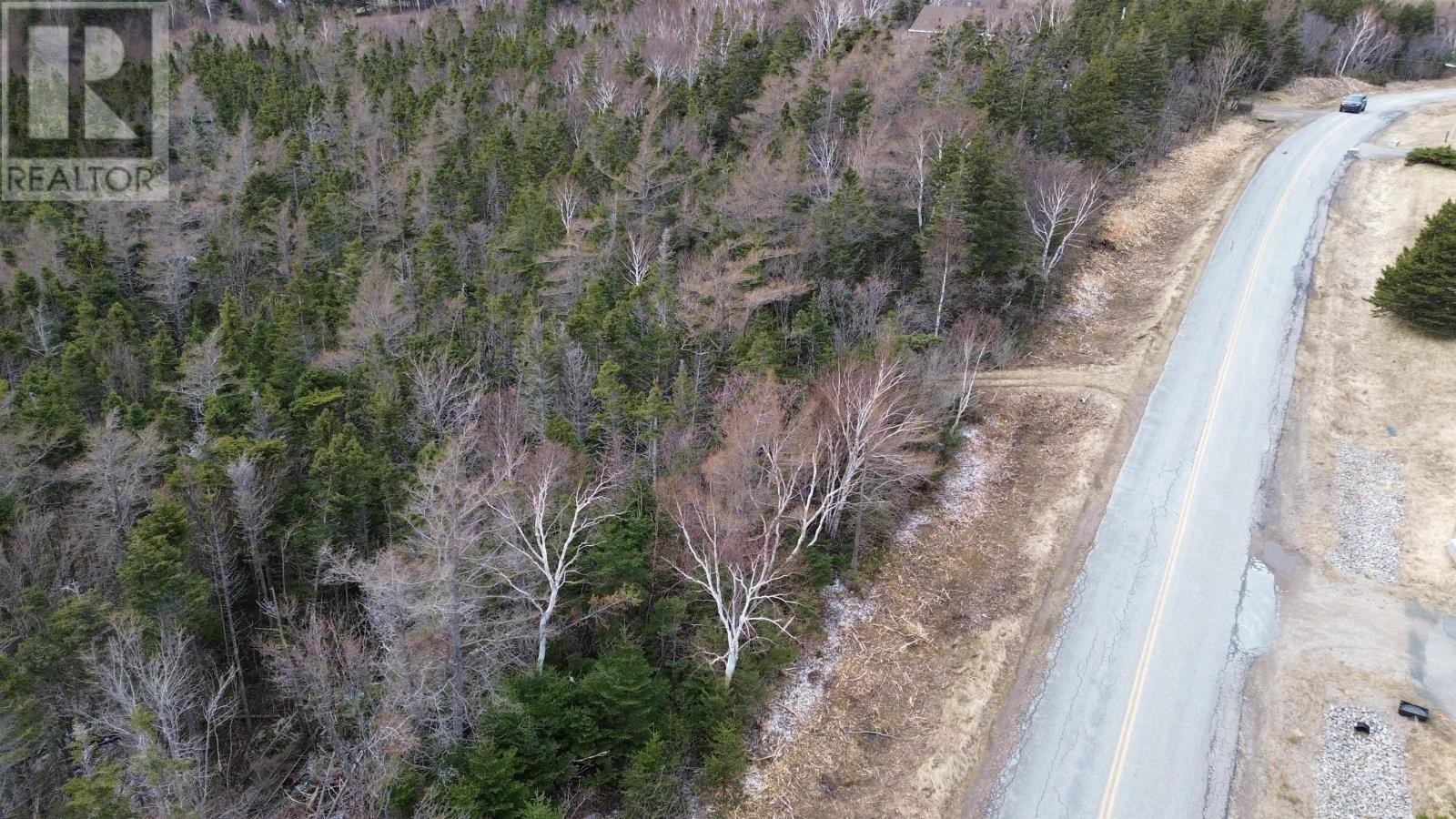 Plateau Road, Chéticamp, Nova Scotia  B0E 1H0 - Photo 12 - 202405435