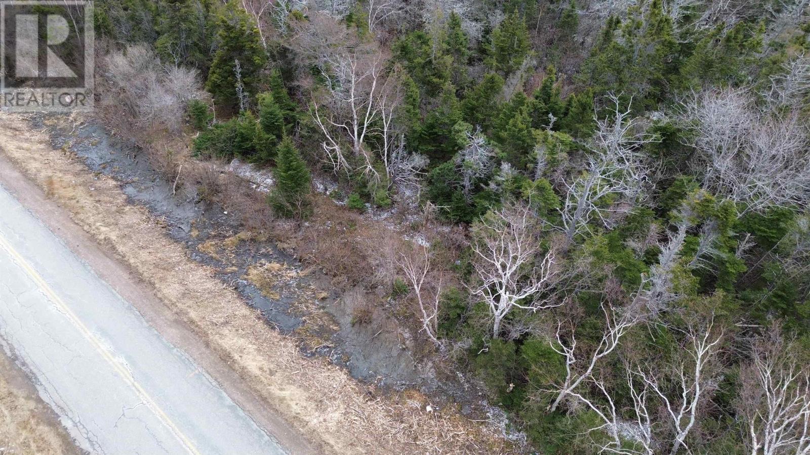 Plateau Road, Chéticamp, Nova Scotia  B0E 1H0 - Photo 13 - 202405435