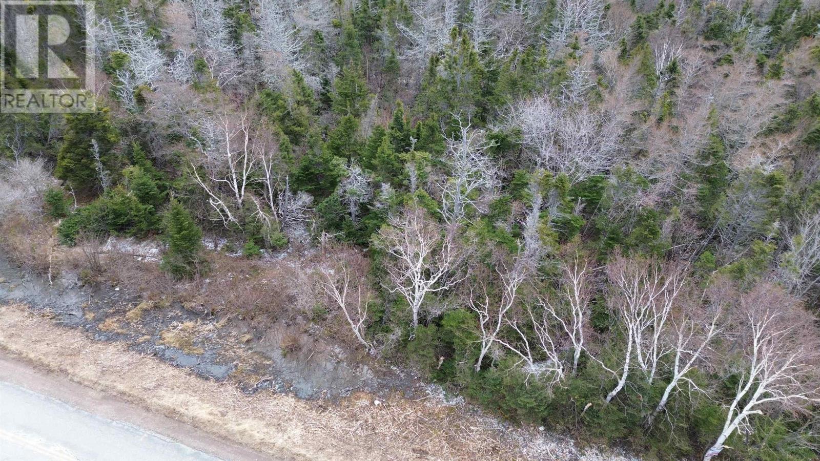 Plateau Road, Chéticamp, Nova Scotia  B0E 1H0 - Photo 15 - 202405435